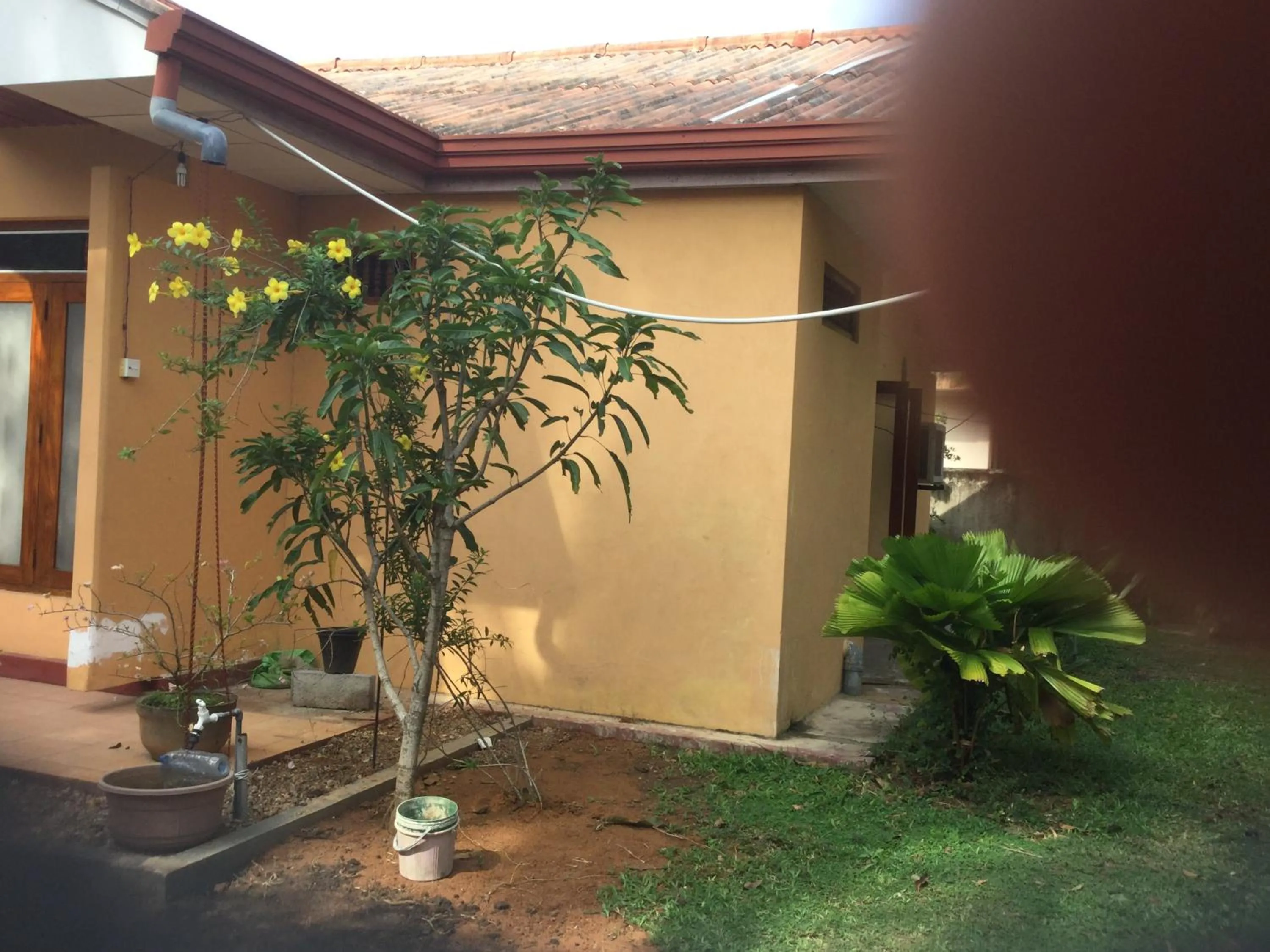 Garden in Galappathie Residence