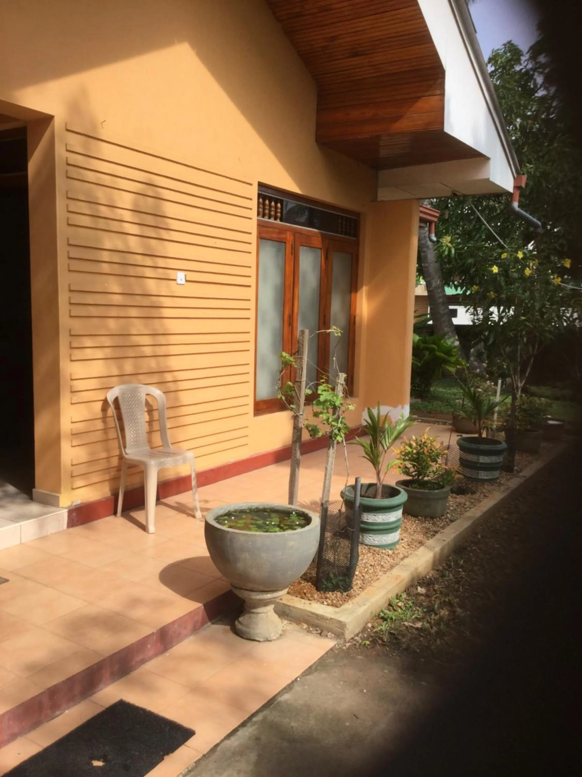 Garden in Galappathie Residence