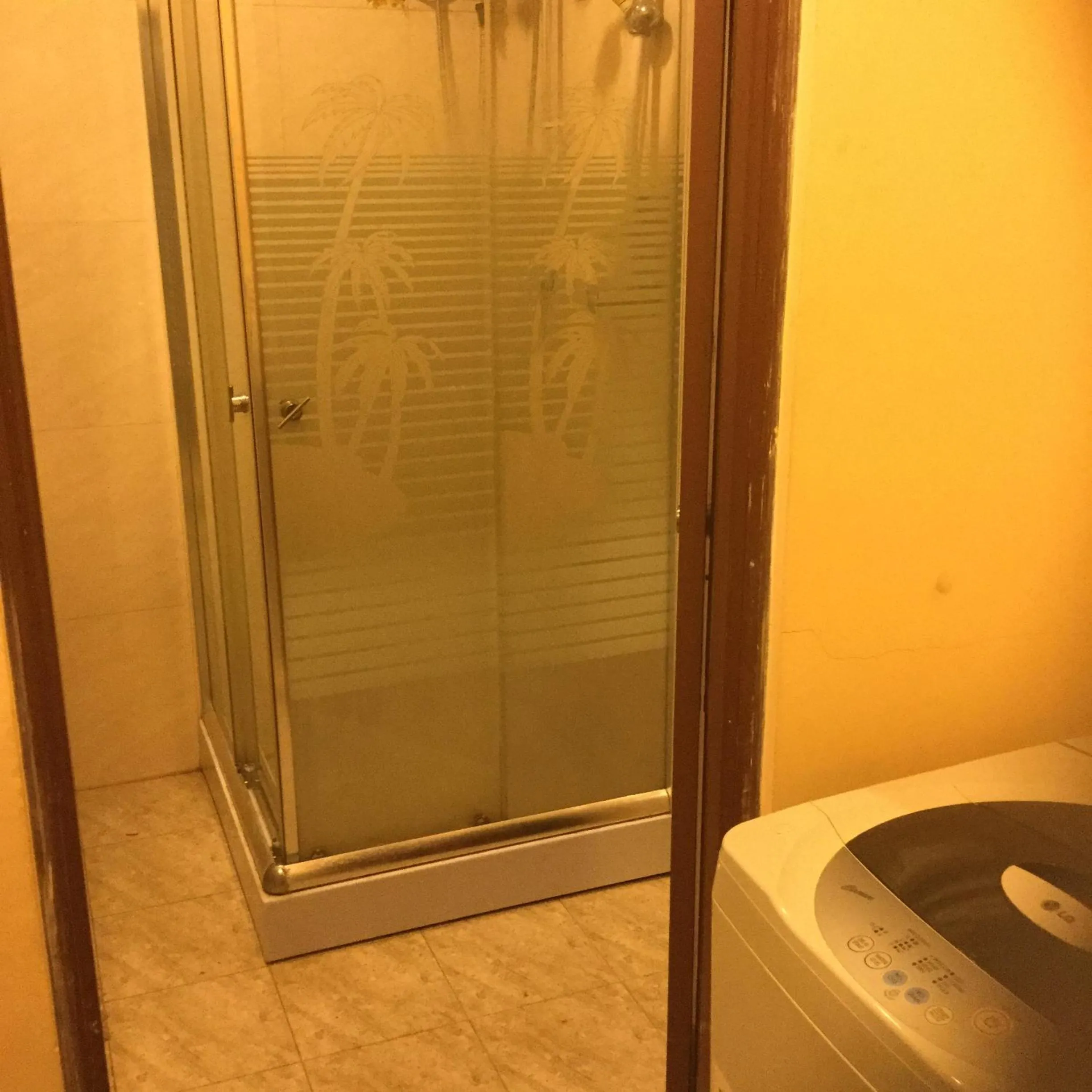 Shower in Galappathie Residence