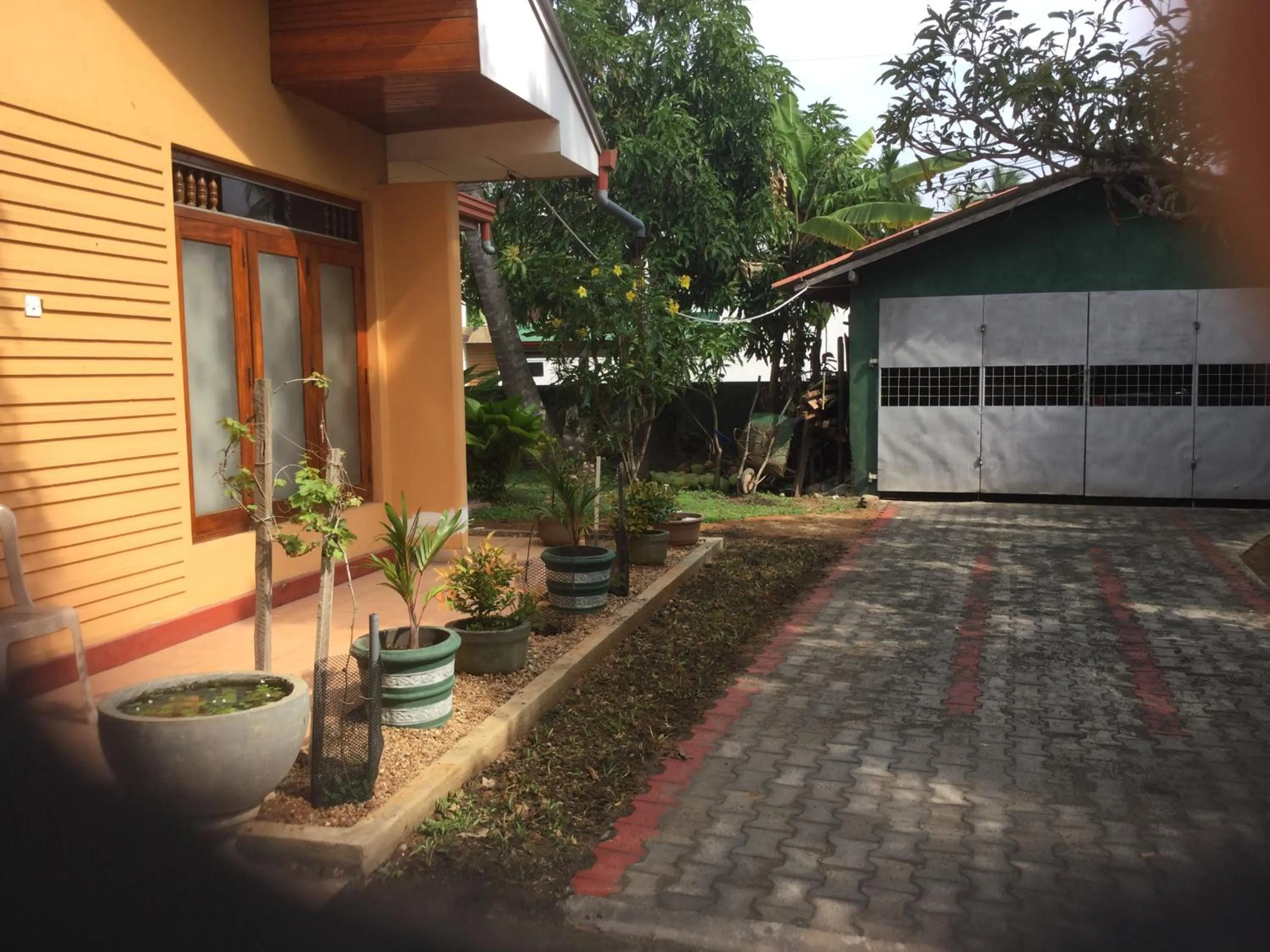 Garden in Galappathie Residence