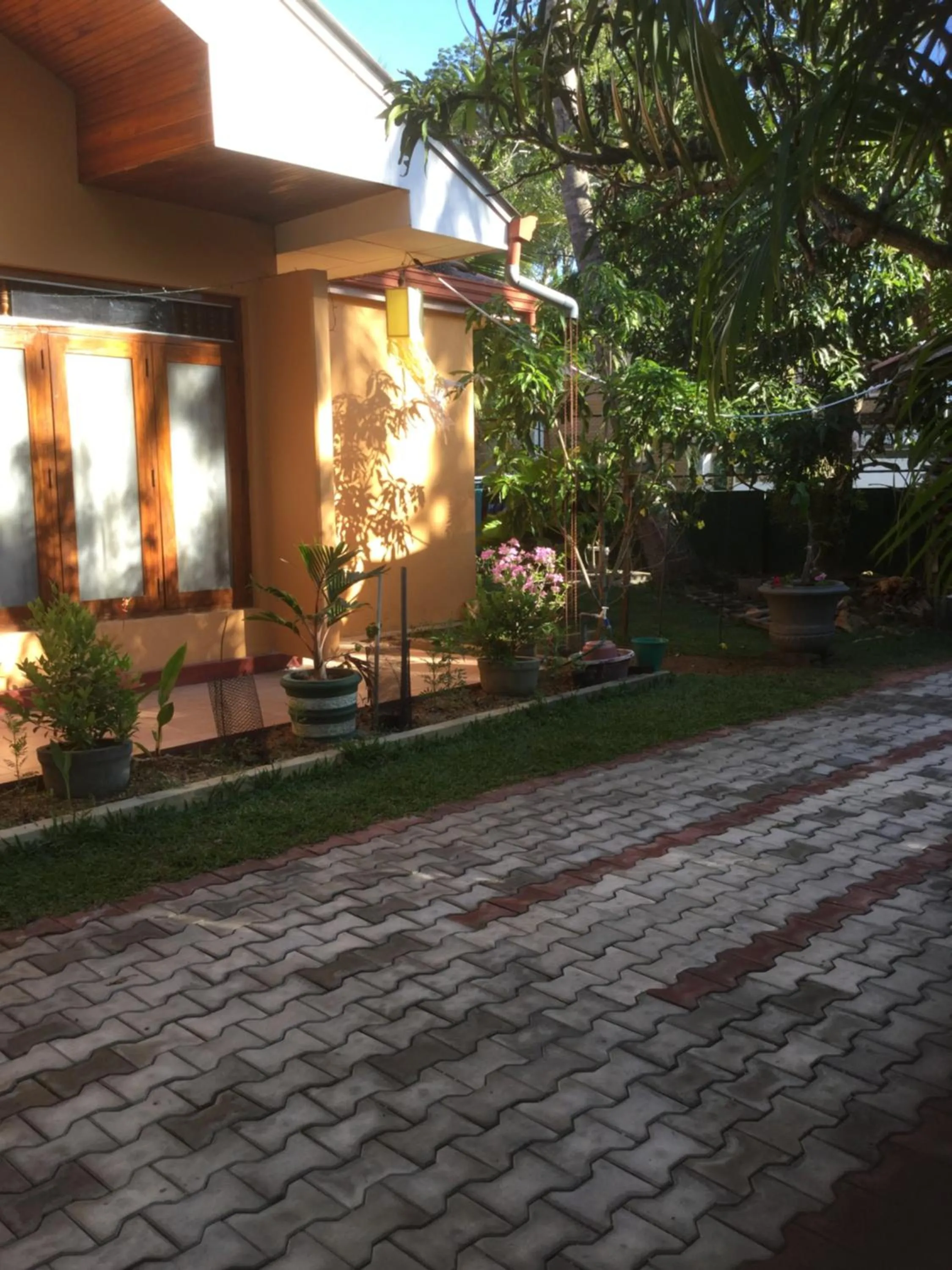 Garden view in Galappathie Residence