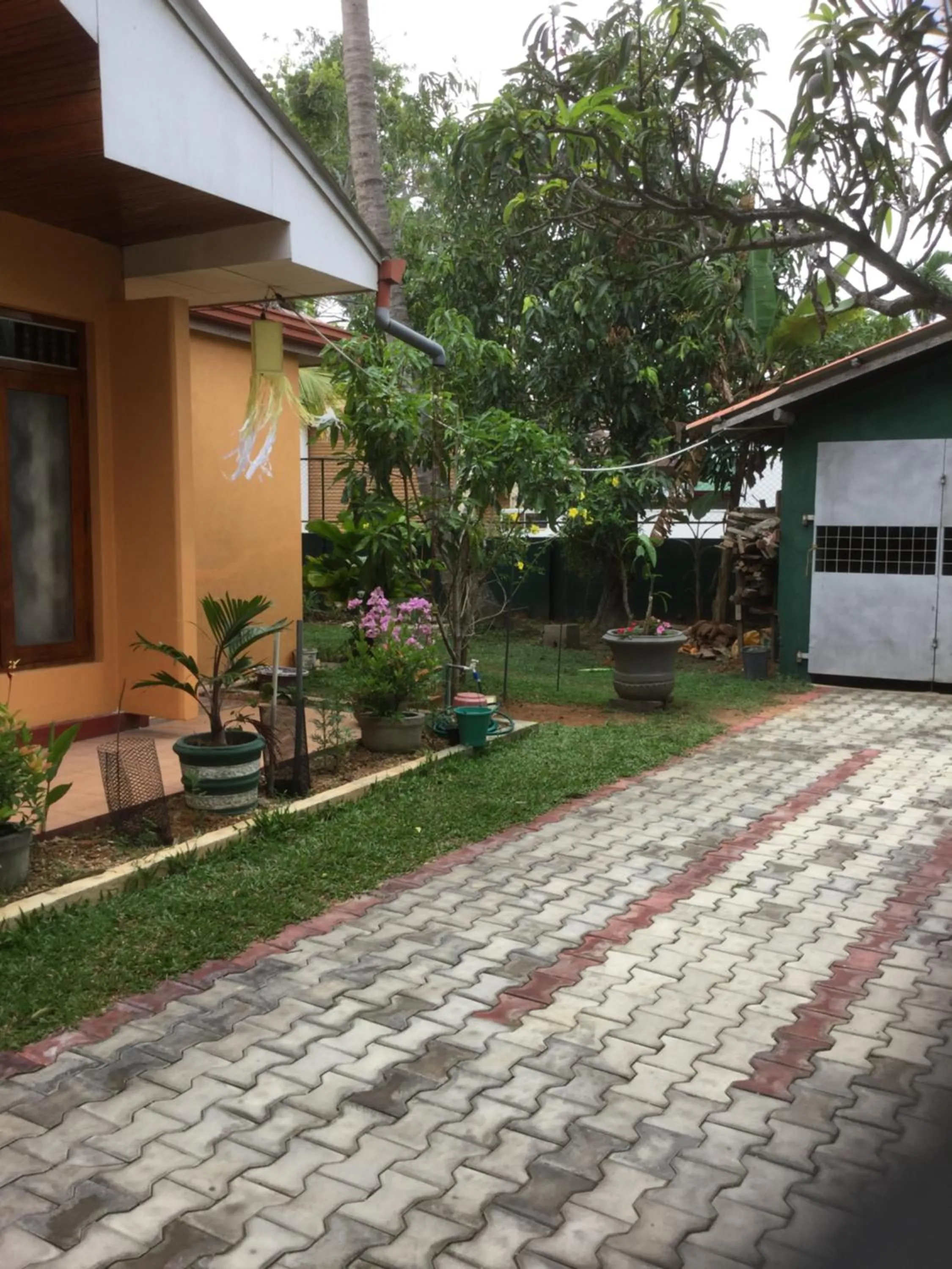 Garden in Galappathie Residence