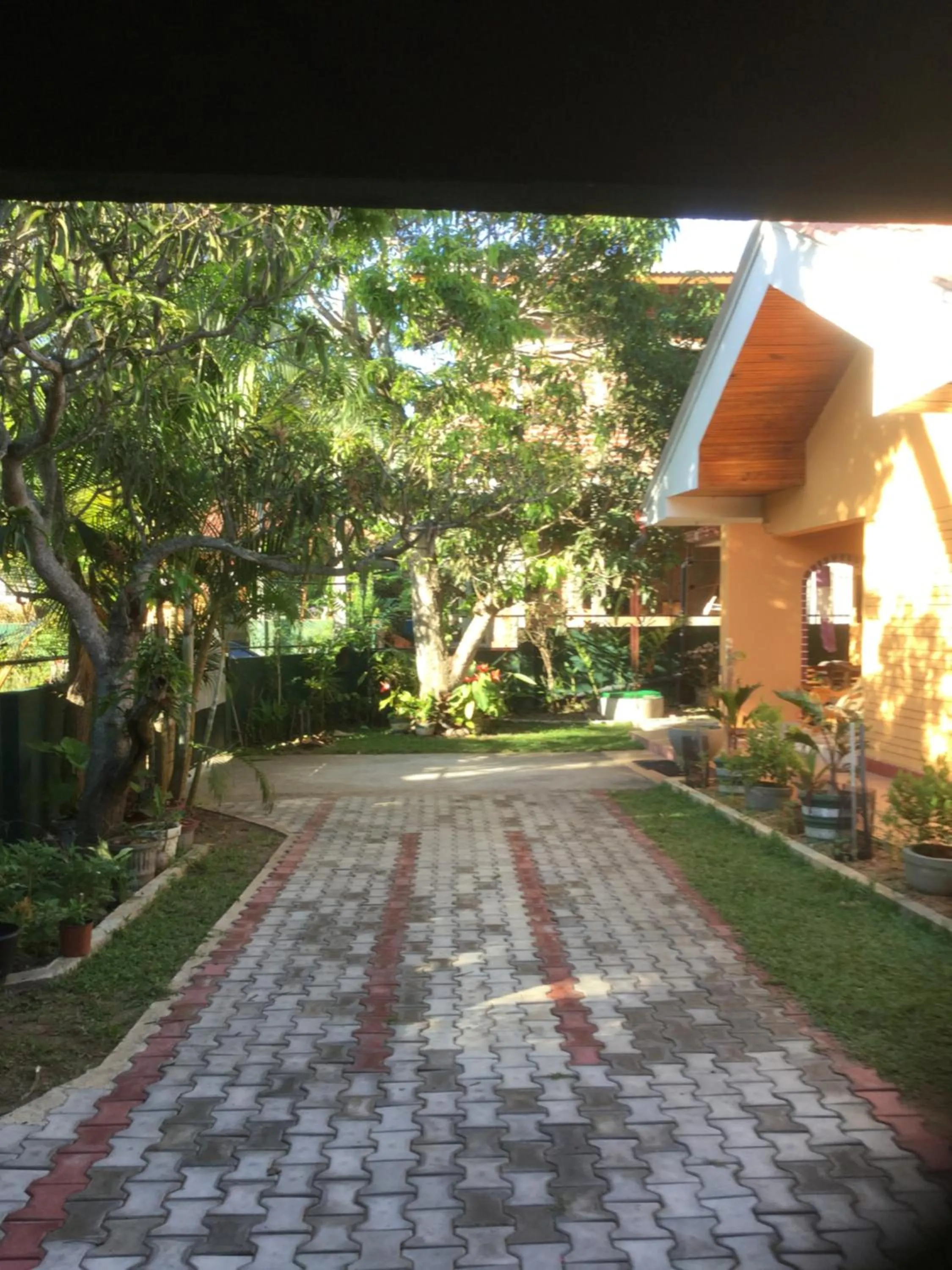 Garden view in Galappathie Residence