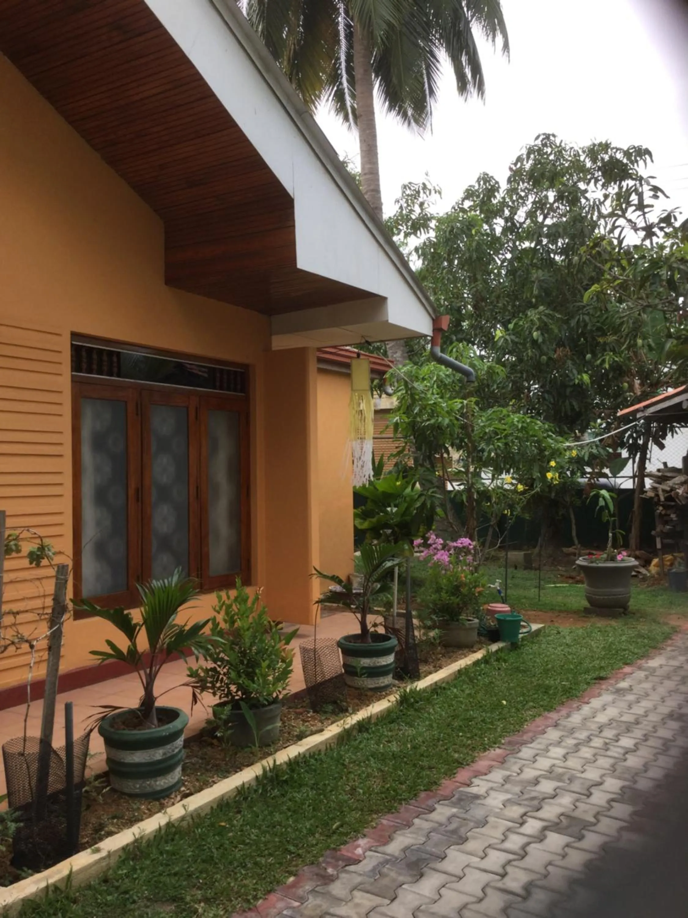 Garden in Galappathie Residence