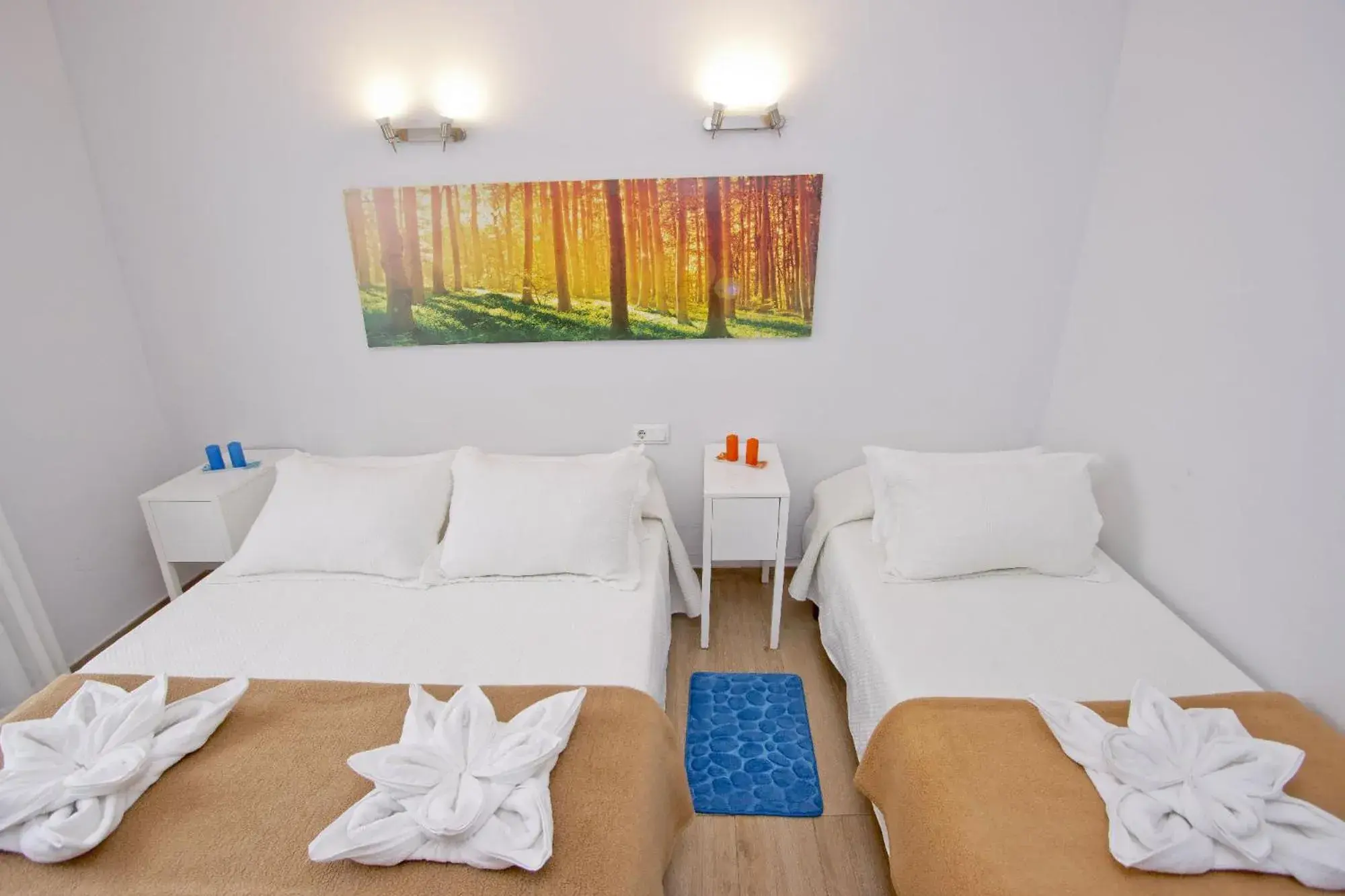 Superior Double or Twin Room in Barcelona City Hotel Superior Double or Twin Room in Barcelona City Hotel