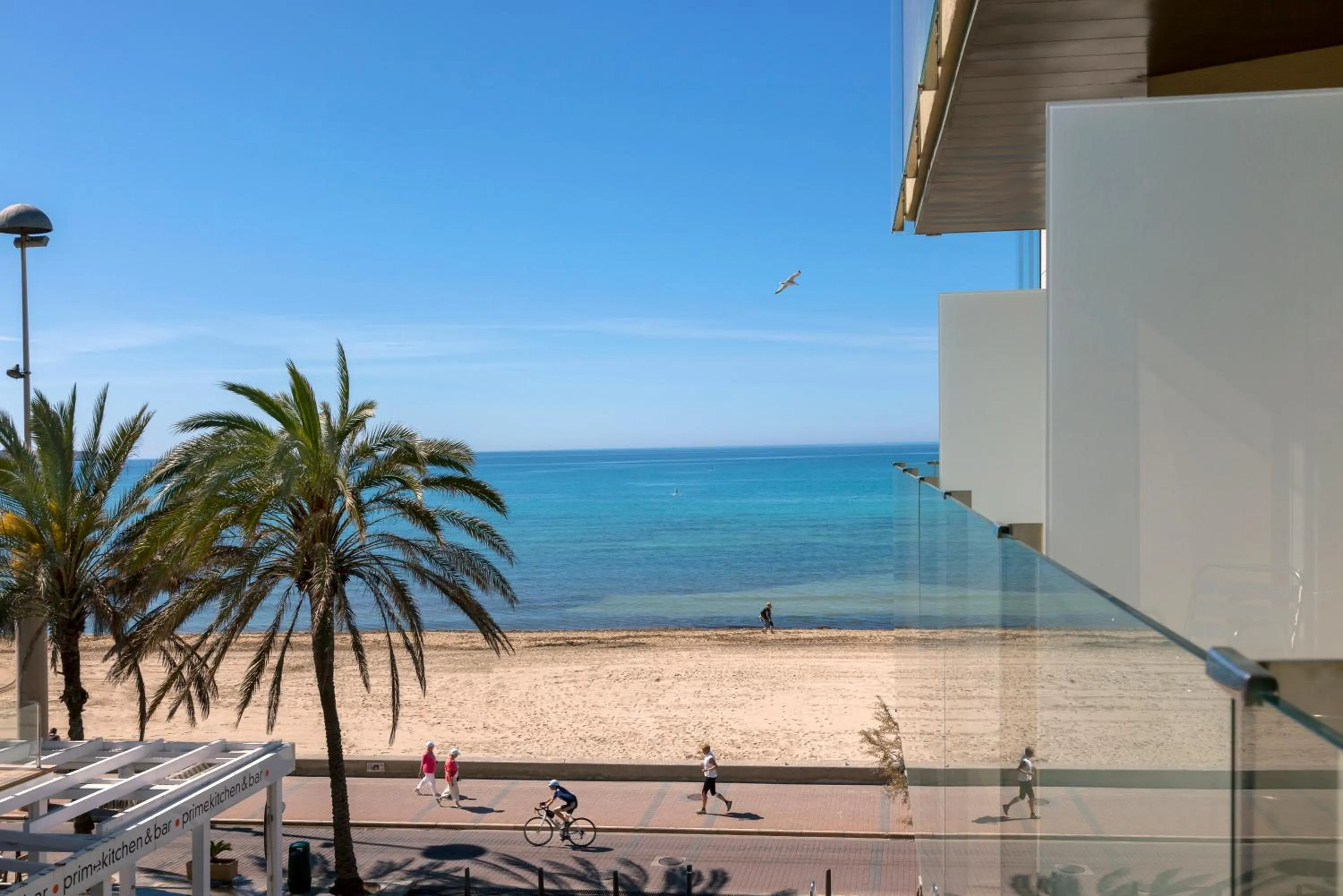 View (from property/room) in Hotel Eden Palma Playa Adults Only