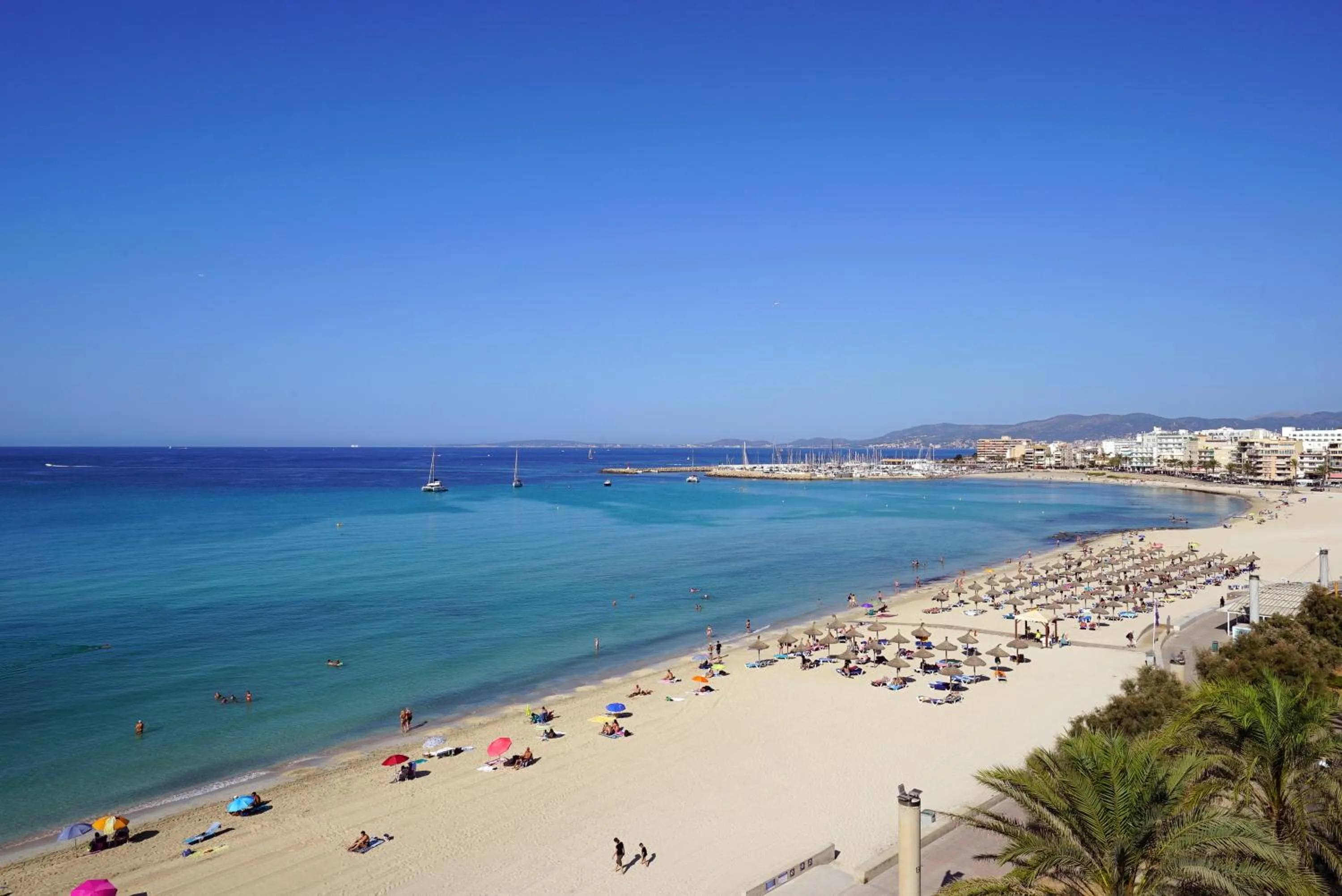 Beach in Hotel Eden Palma Playa Adults Only