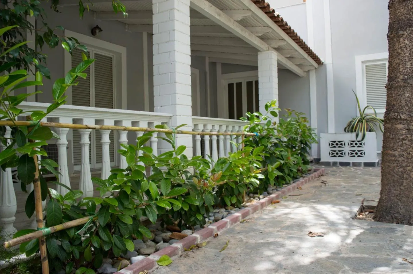 Garden view in Paradise Beach Hotel
