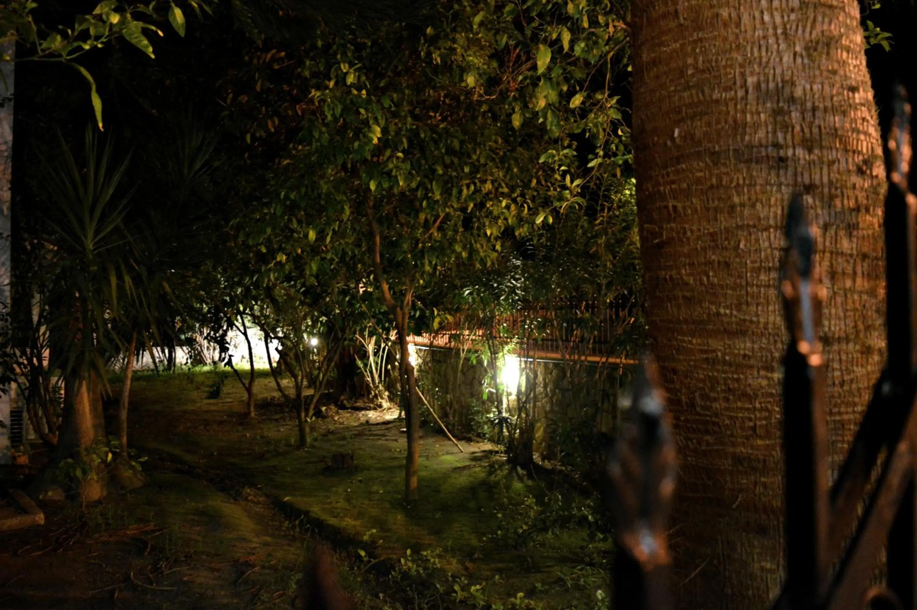 Patio in Paradise Beach Hotel