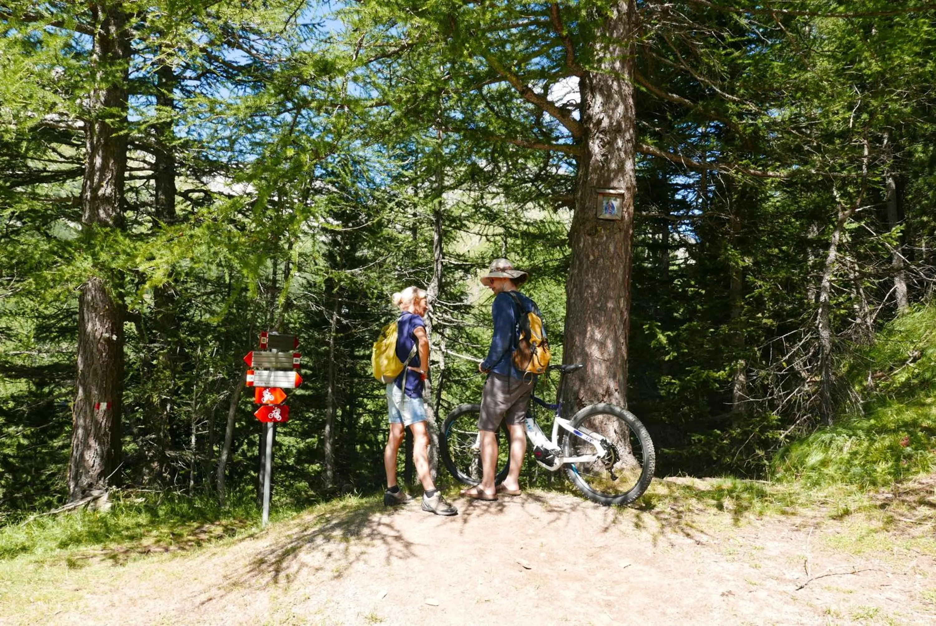 Cycling in Il Cortese