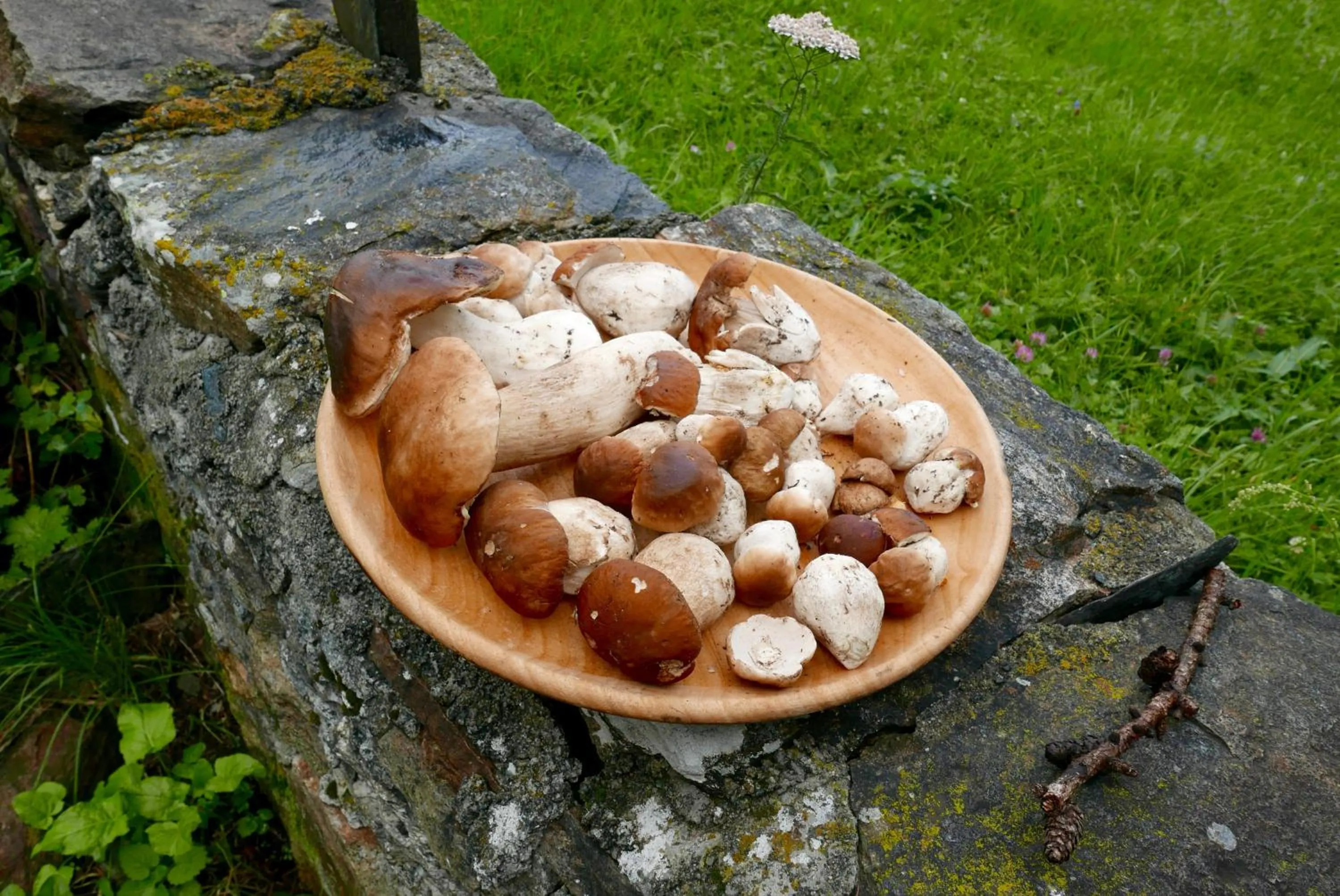 Activities in Il Cortese