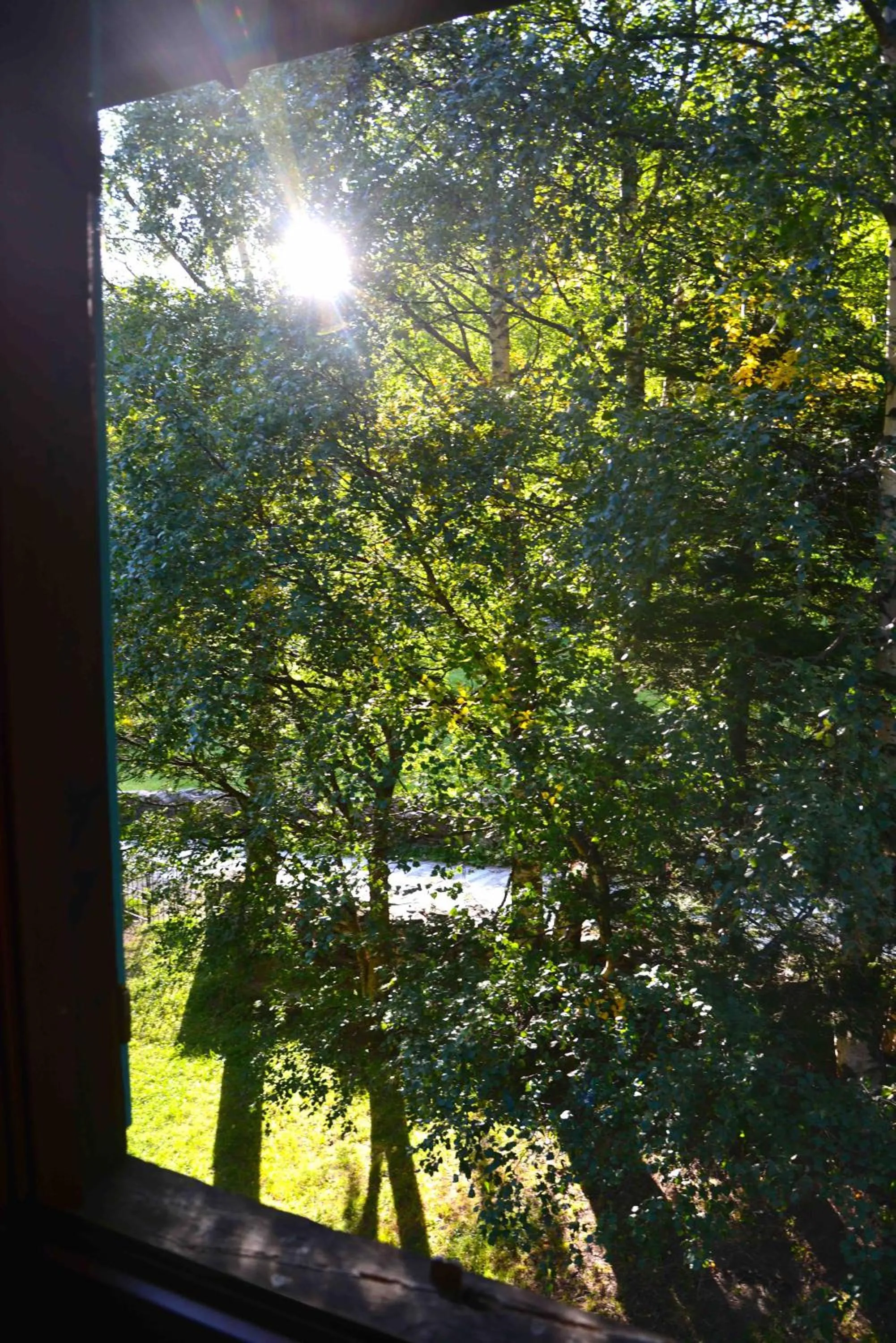 Garden view in Il Cortese