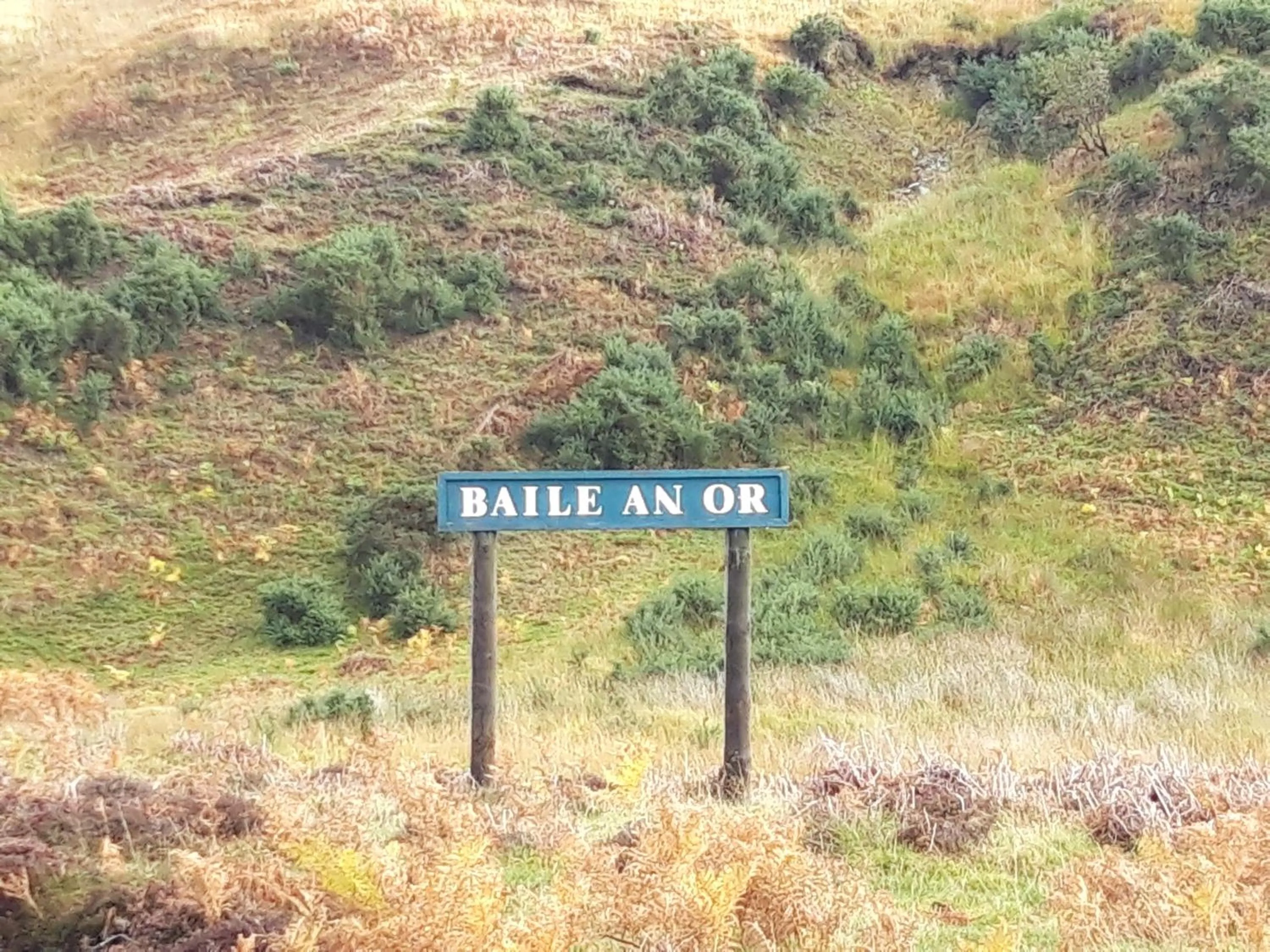 Natural landscape in Bannockburn Inn
