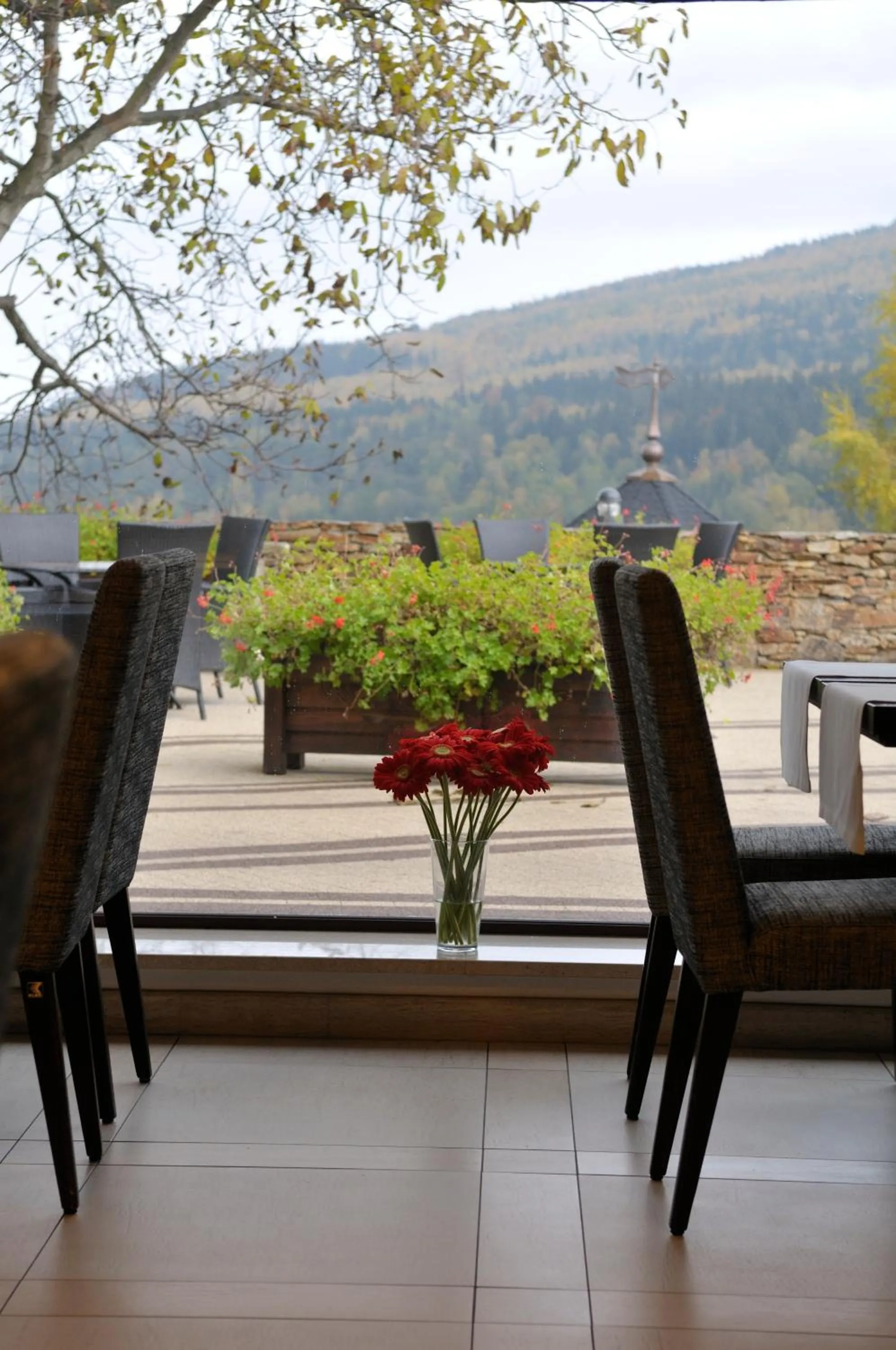 Restaurant/places to eat in Hotel & Medi-Spa Biały Kamień