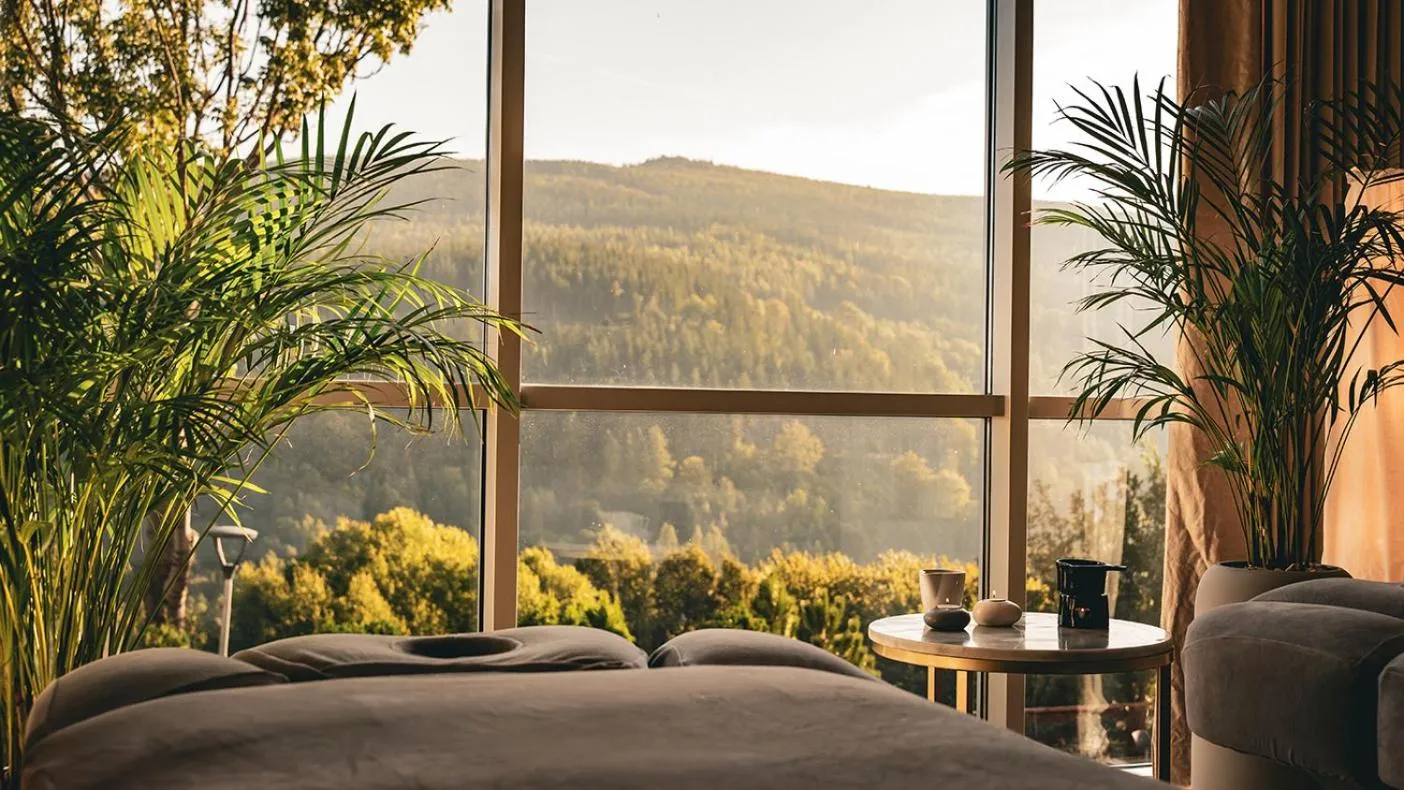 Spa and wellness centre/facilities in Hotel & Medi-Spa Biały Kamień