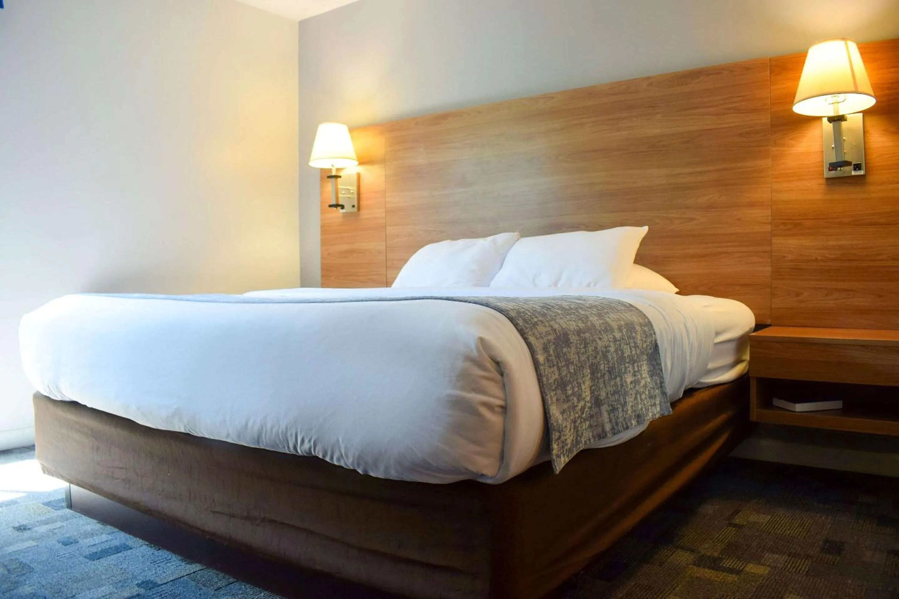 Bedroom, Bed in Comfort Inn Bellingham