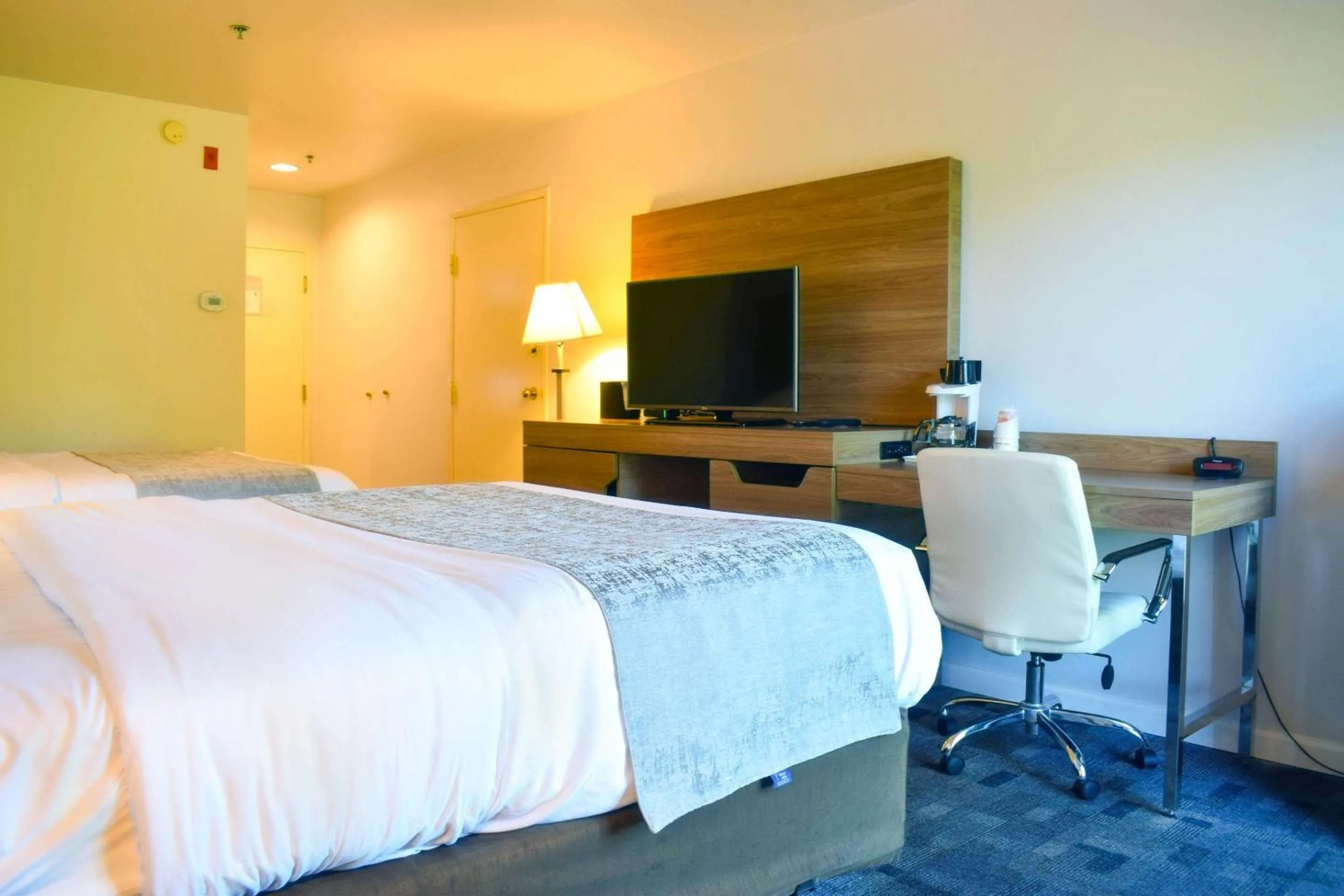 Bedroom, Bed in Comfort Inn Bellingham