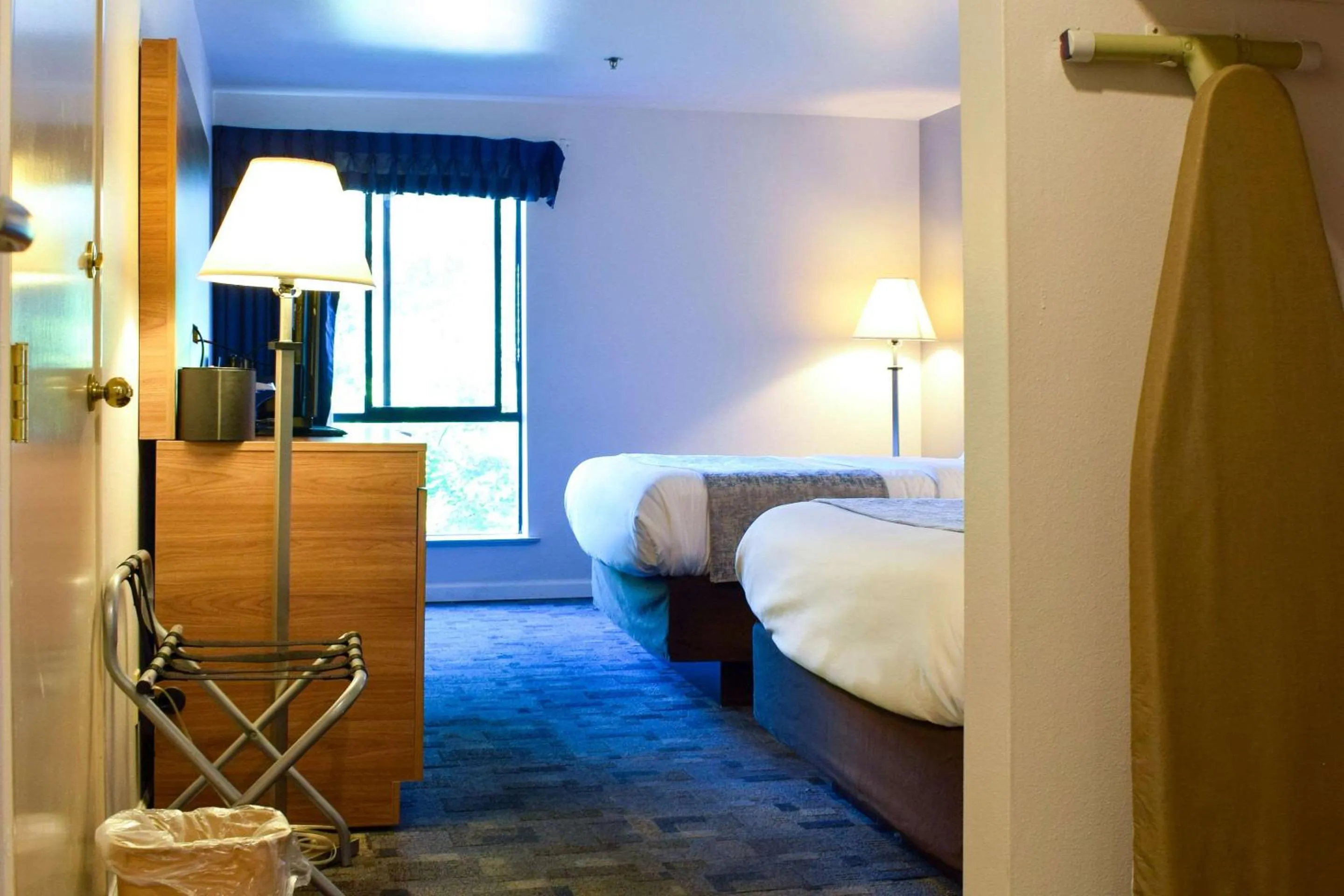 Bedroom, Bed in Comfort Inn Bellingham