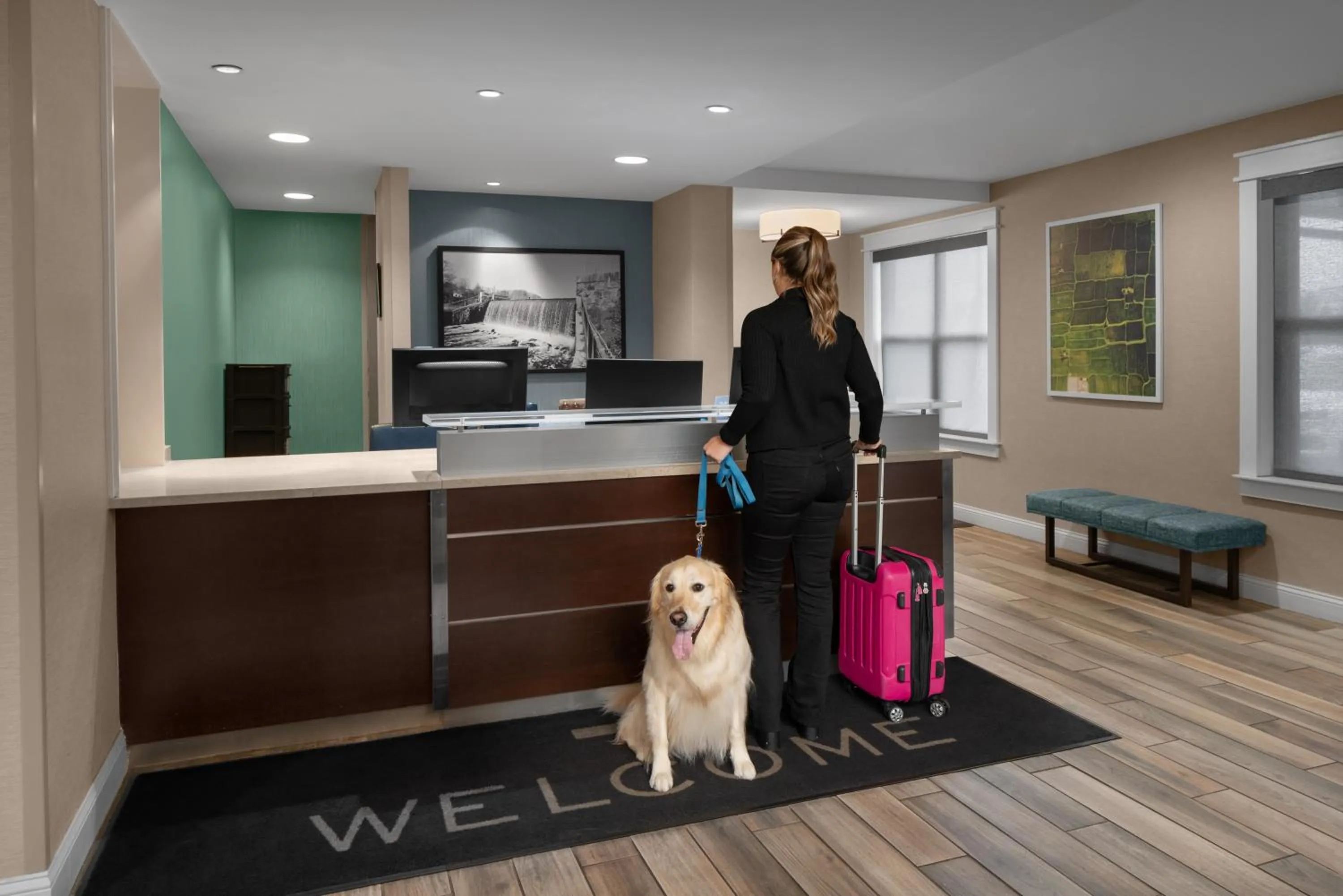 Lobby or reception in Residence Inn Boston Dedham