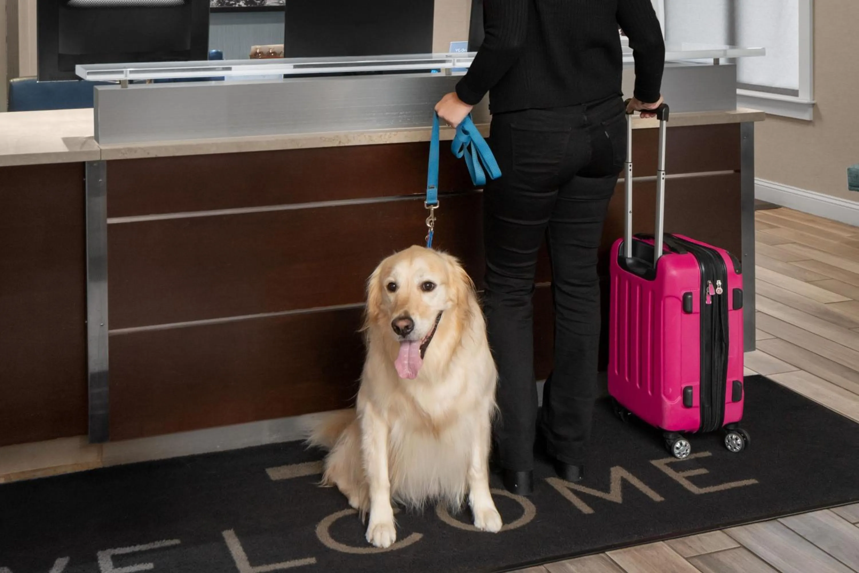 Other in Residence Inn Boston Dedham