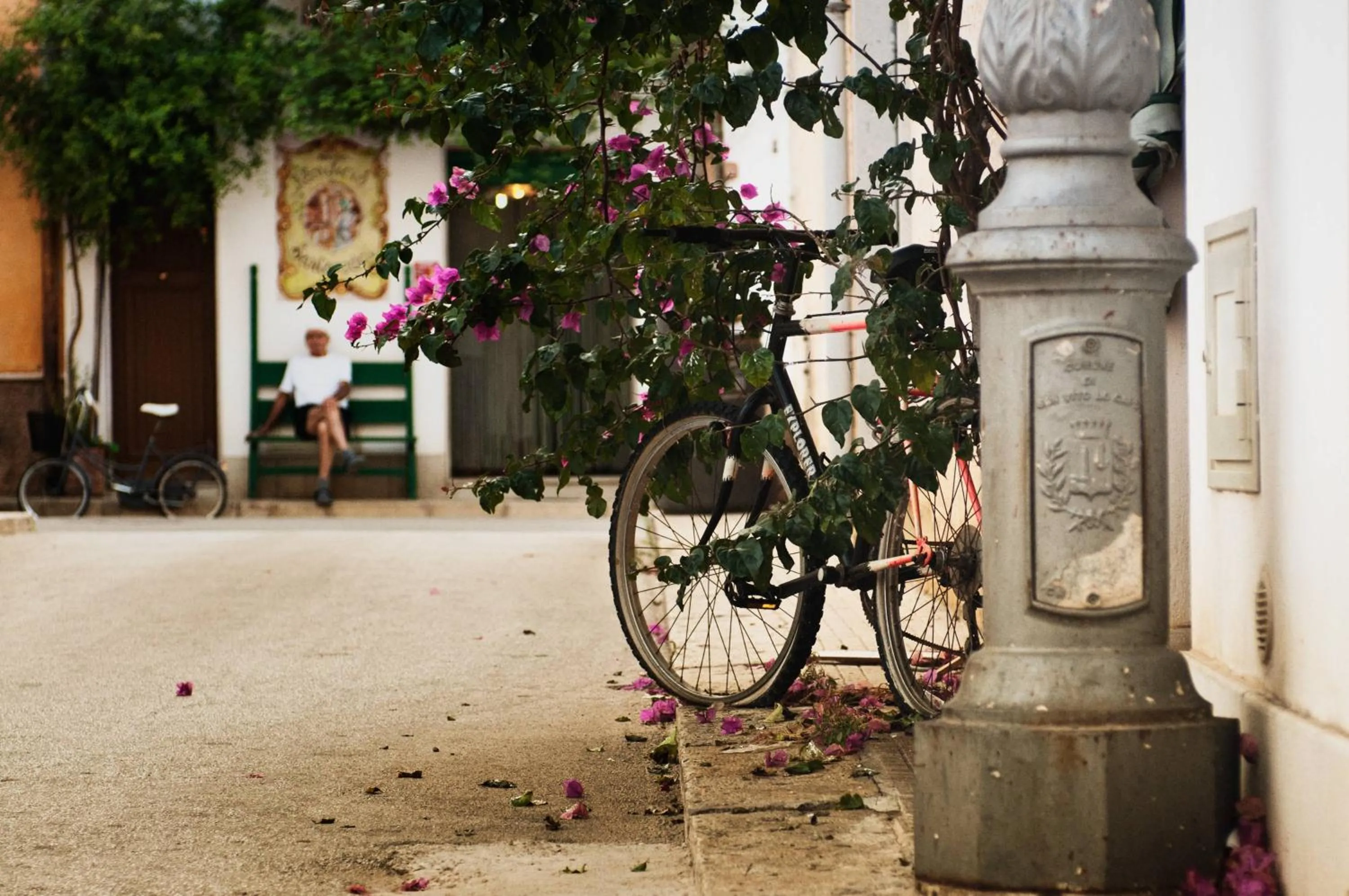 Natural landscape in B&B Cous Cous People