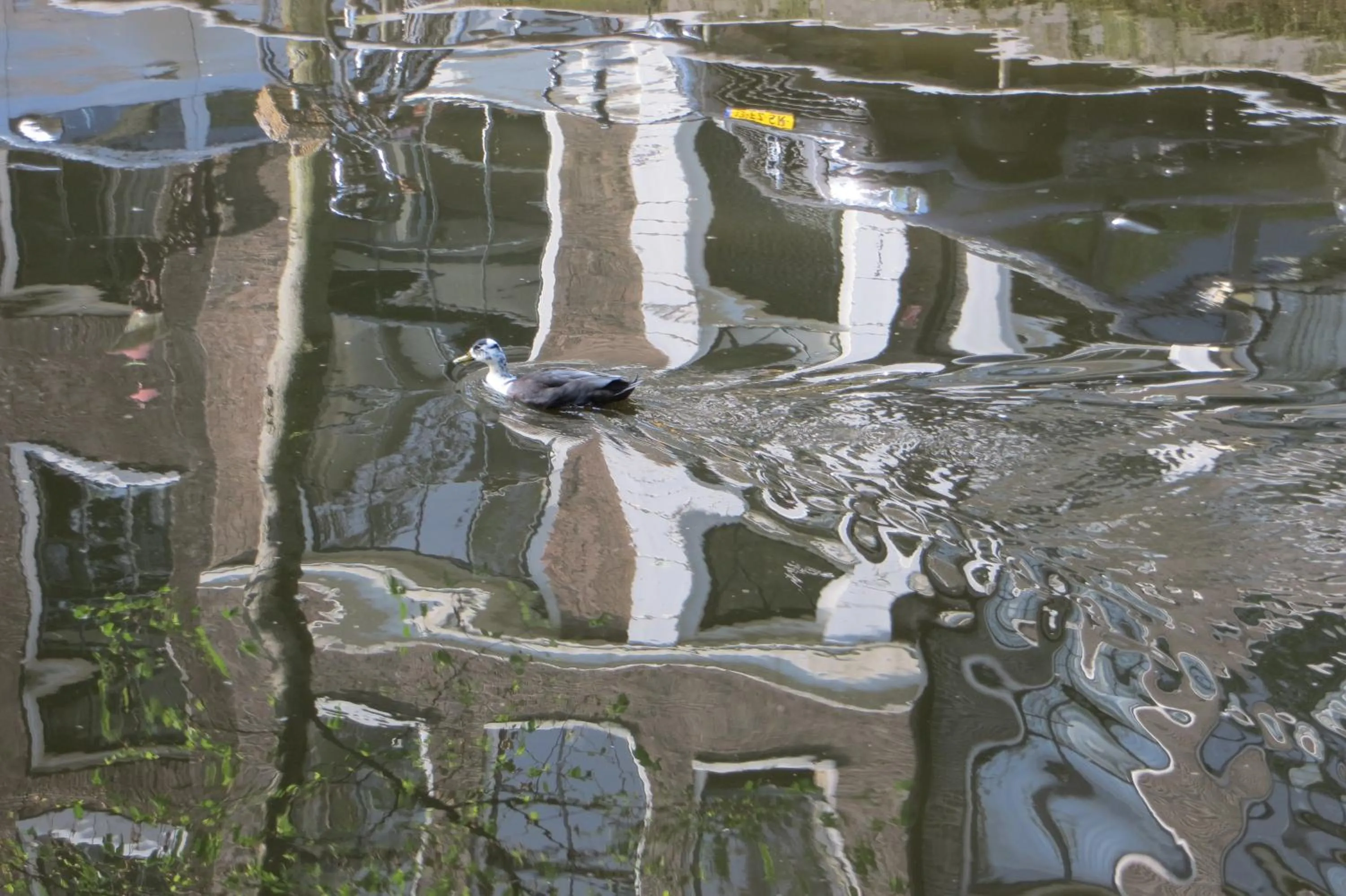 View (from property/room) in Casa Luna