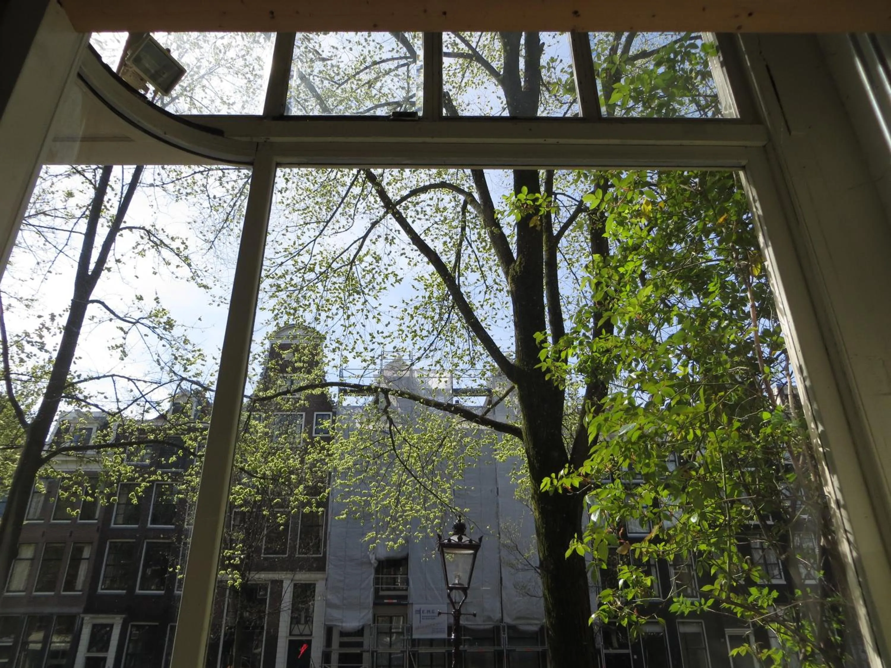 Property building in Casa Luna