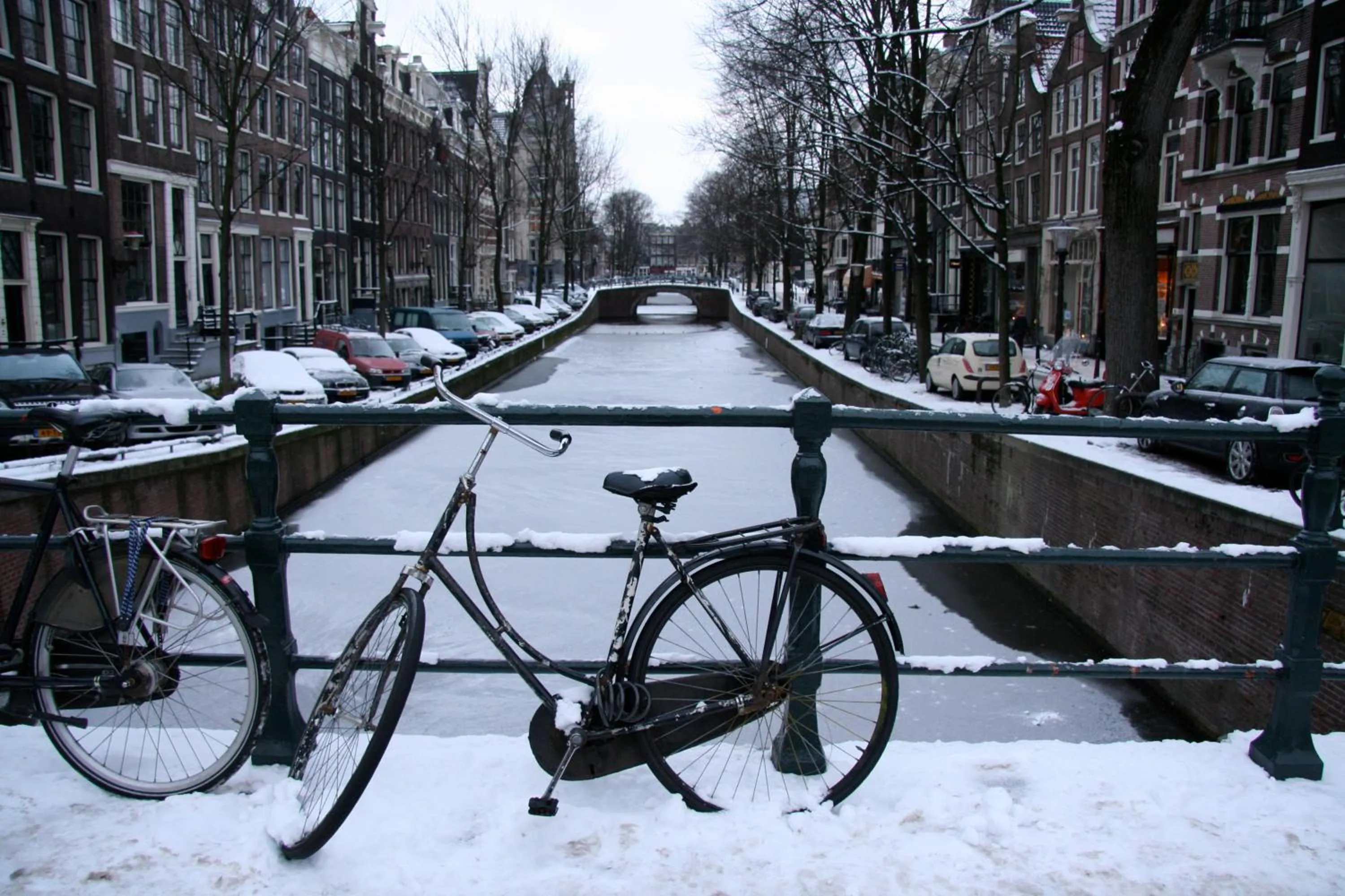 Neighbourhood in Casa Luna