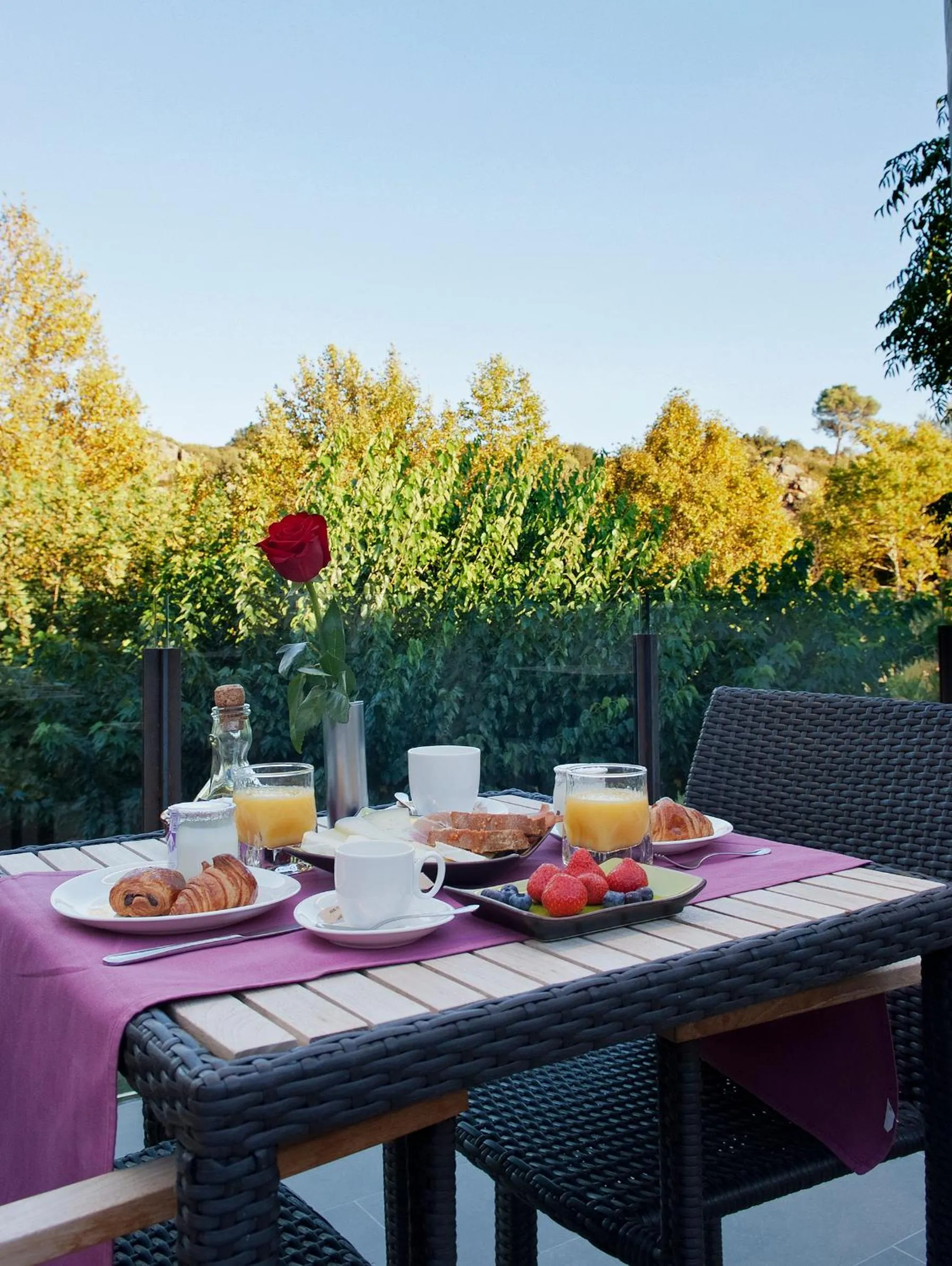 Balcony/Terrace in Hotel El Molí