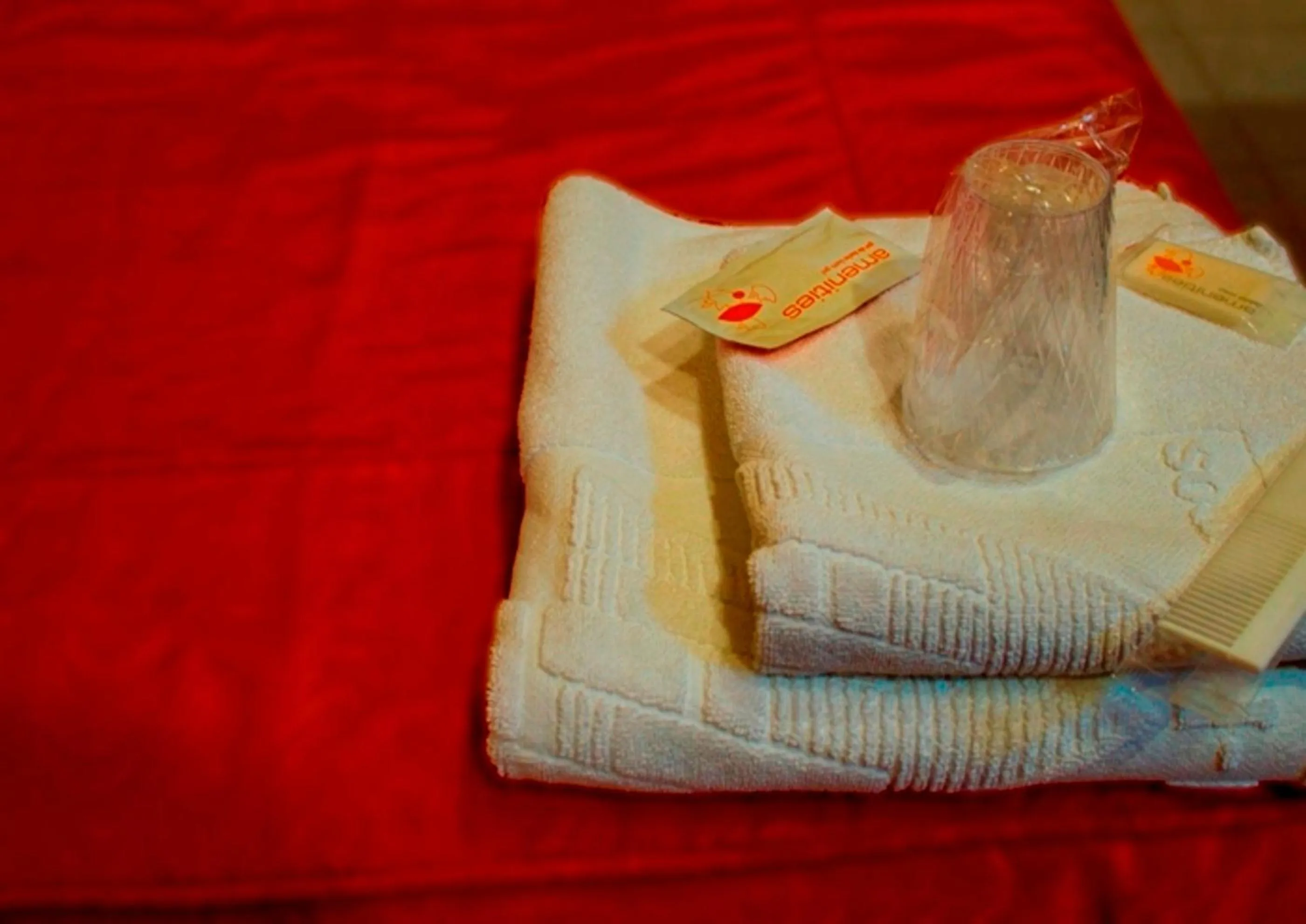 Decorative detail in Hotel Ramos