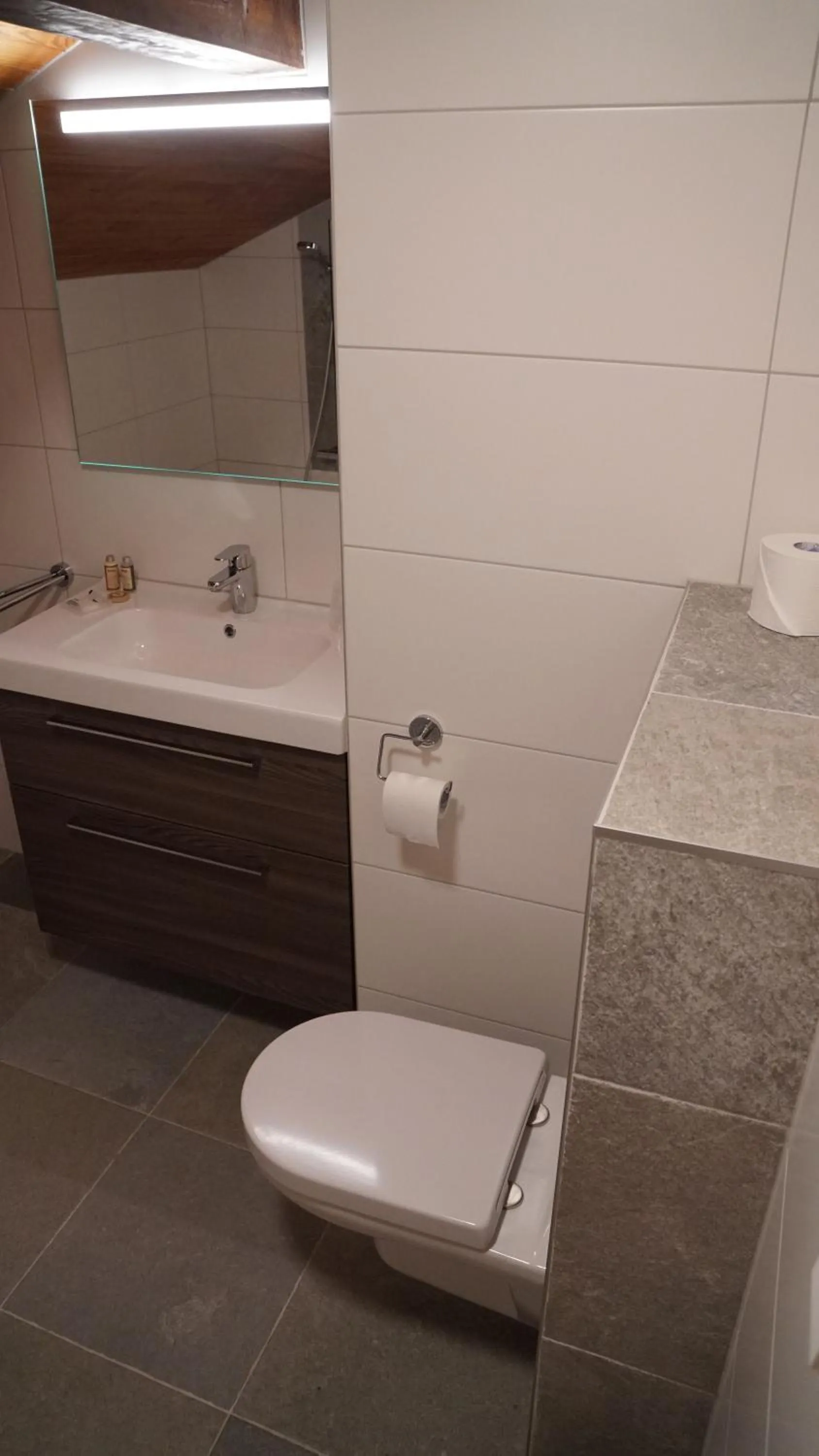 Toilet in Esprit Montagne