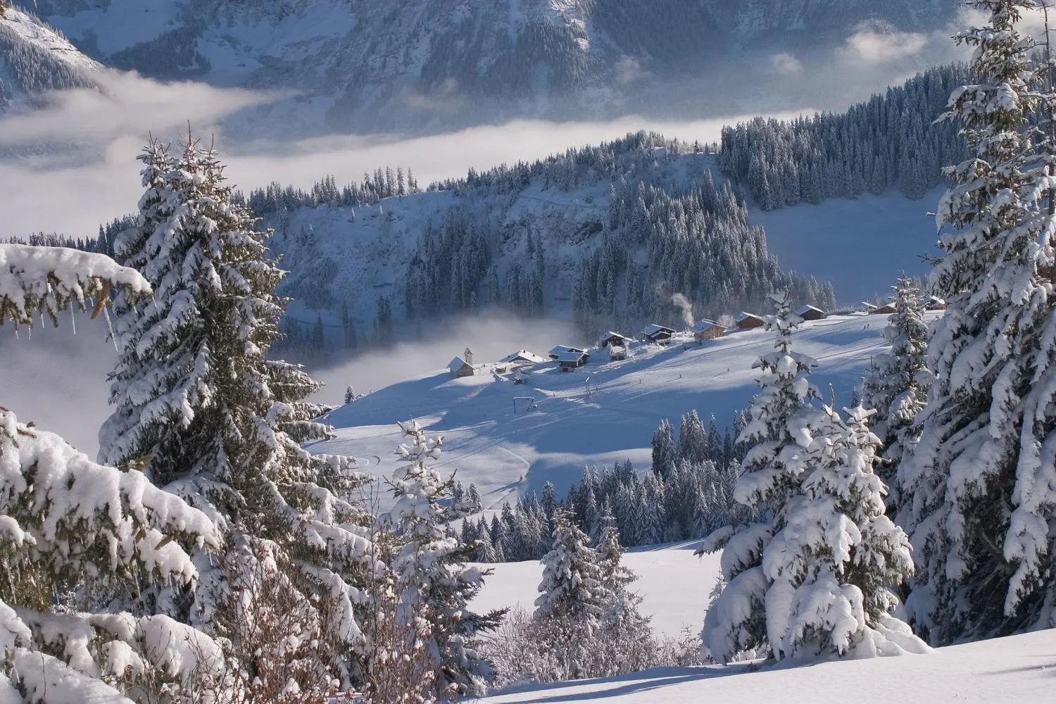 Area and facilities in Esprit Montagne