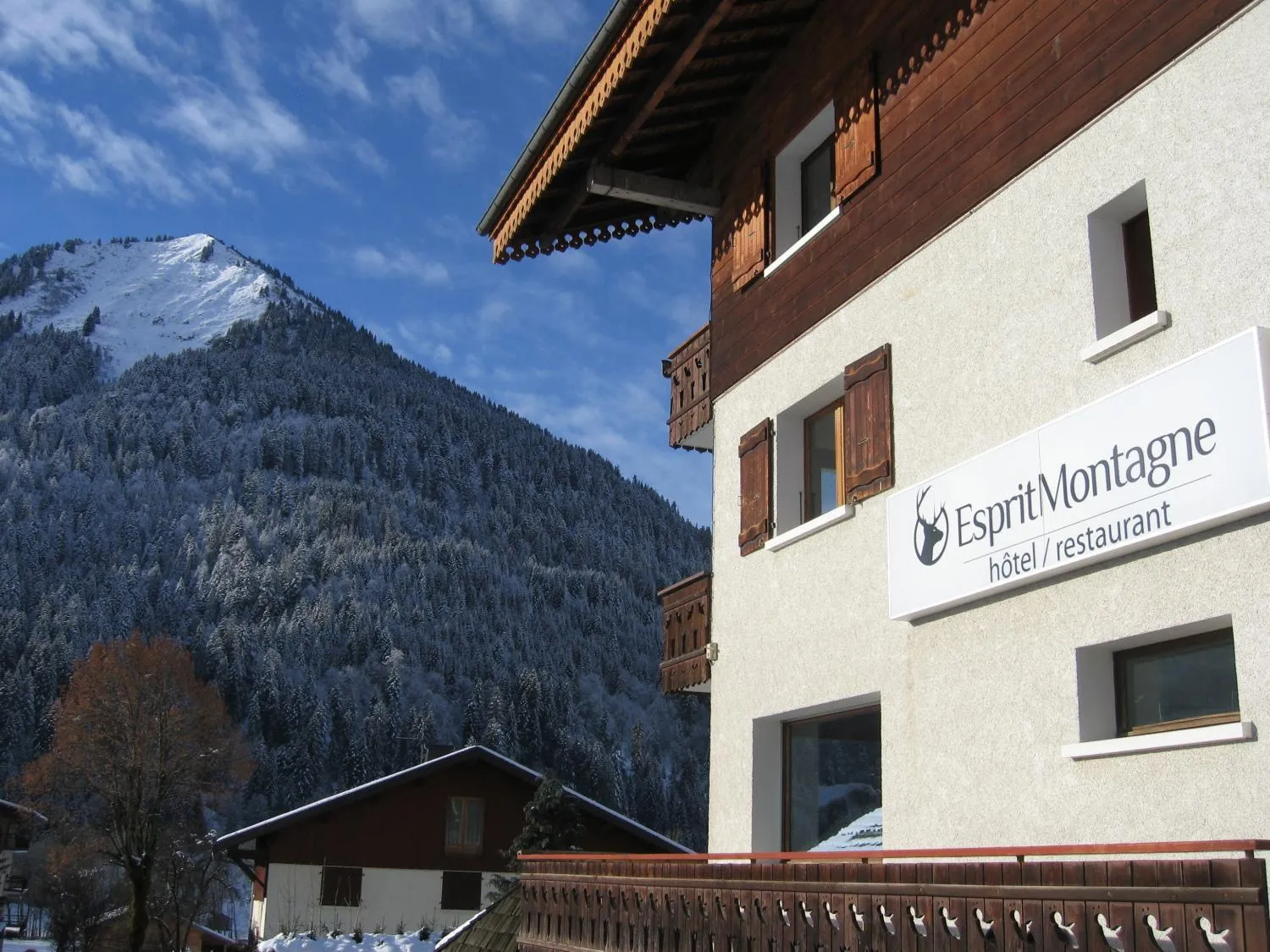 Decorative detail in Esprit Montagne