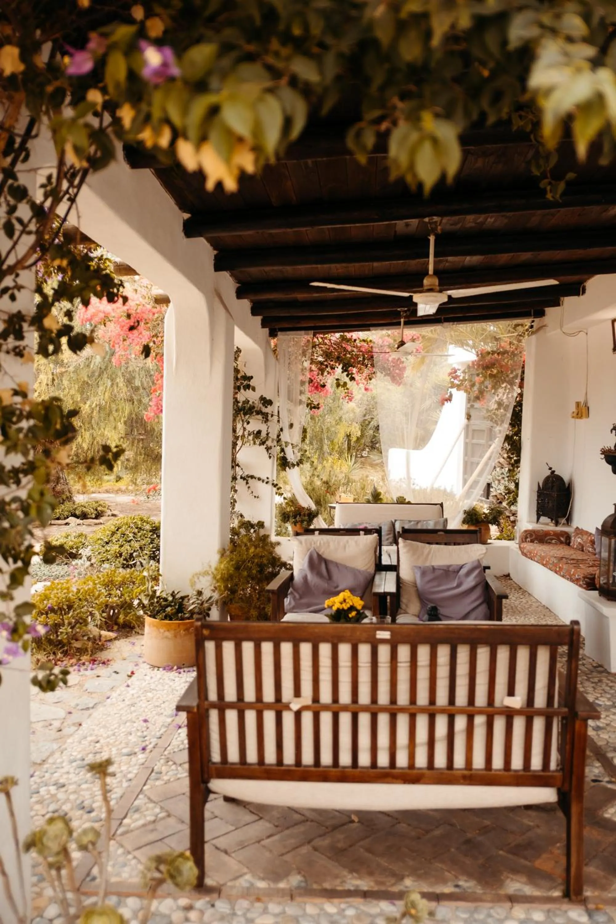 Patio in Cortijo Los Malenos