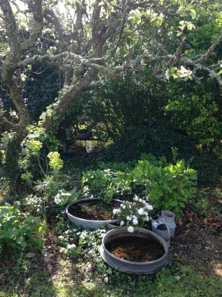 Garden in L'écume de mer