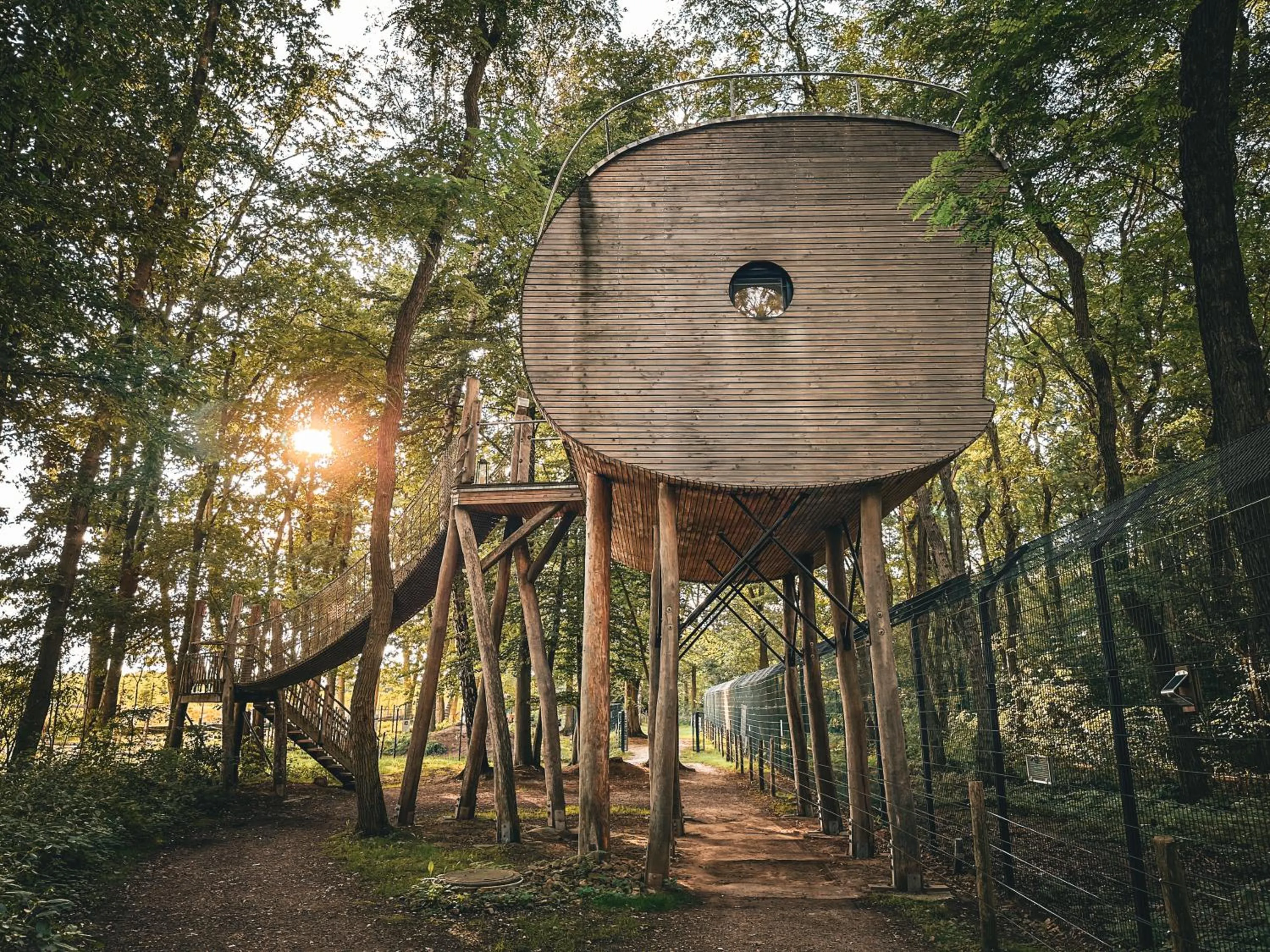 Property building in Tree Inn - Das Baumhaushotel