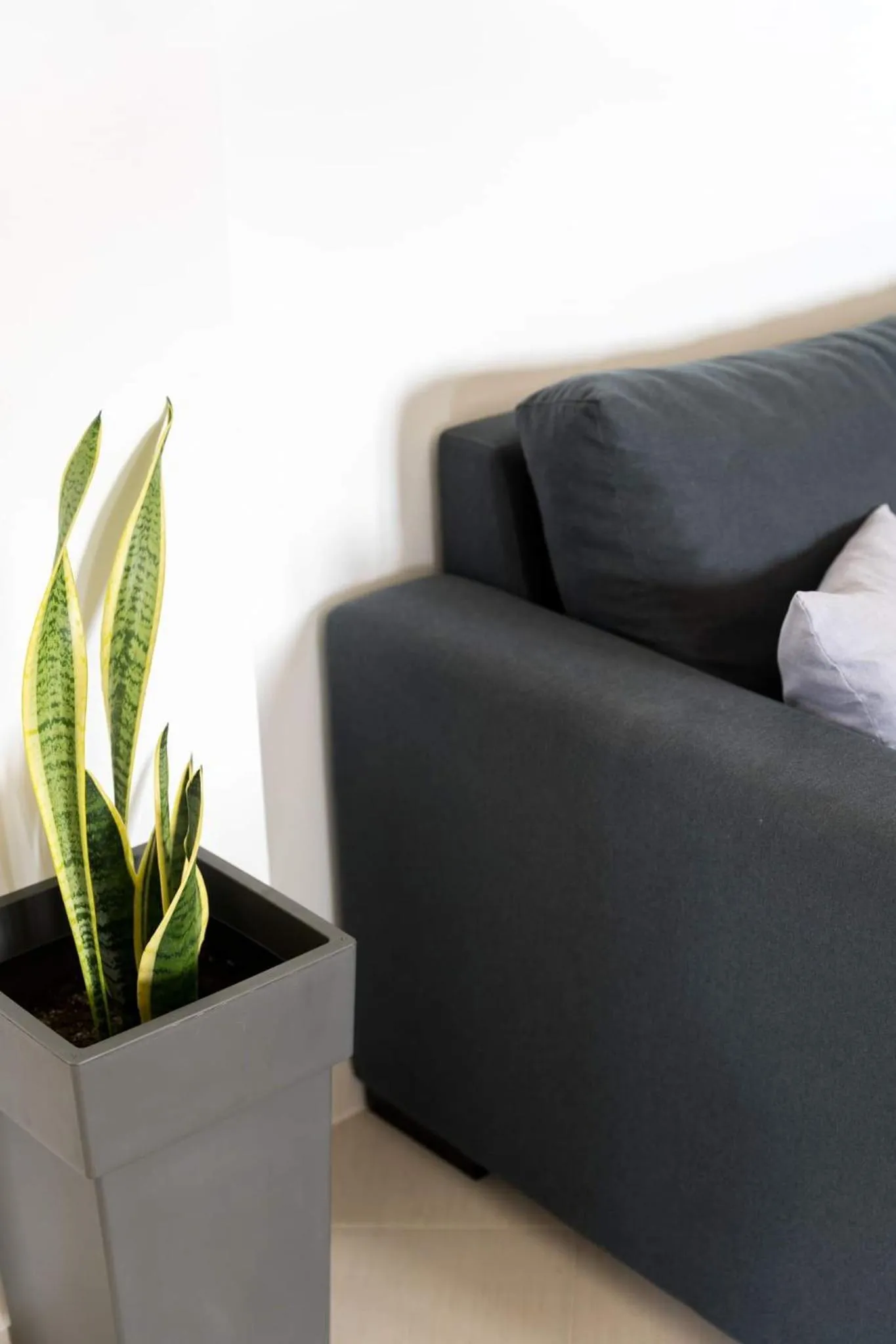 Living room in Diwani Luxury Villas