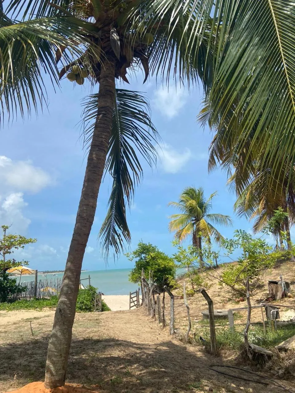 Lagoa dos Coqueiros