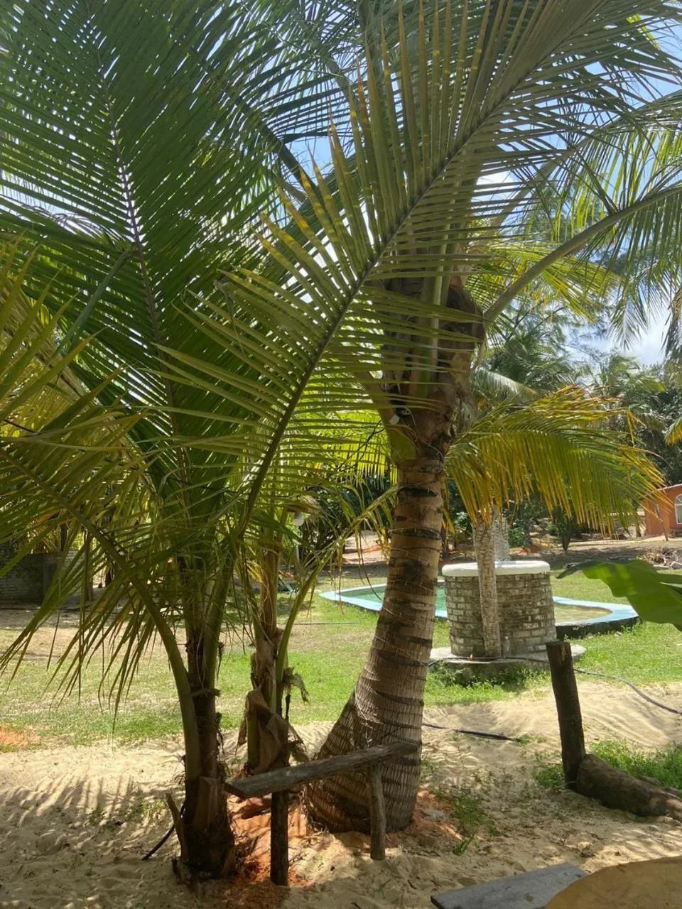 Lagoa dos Coqueiros