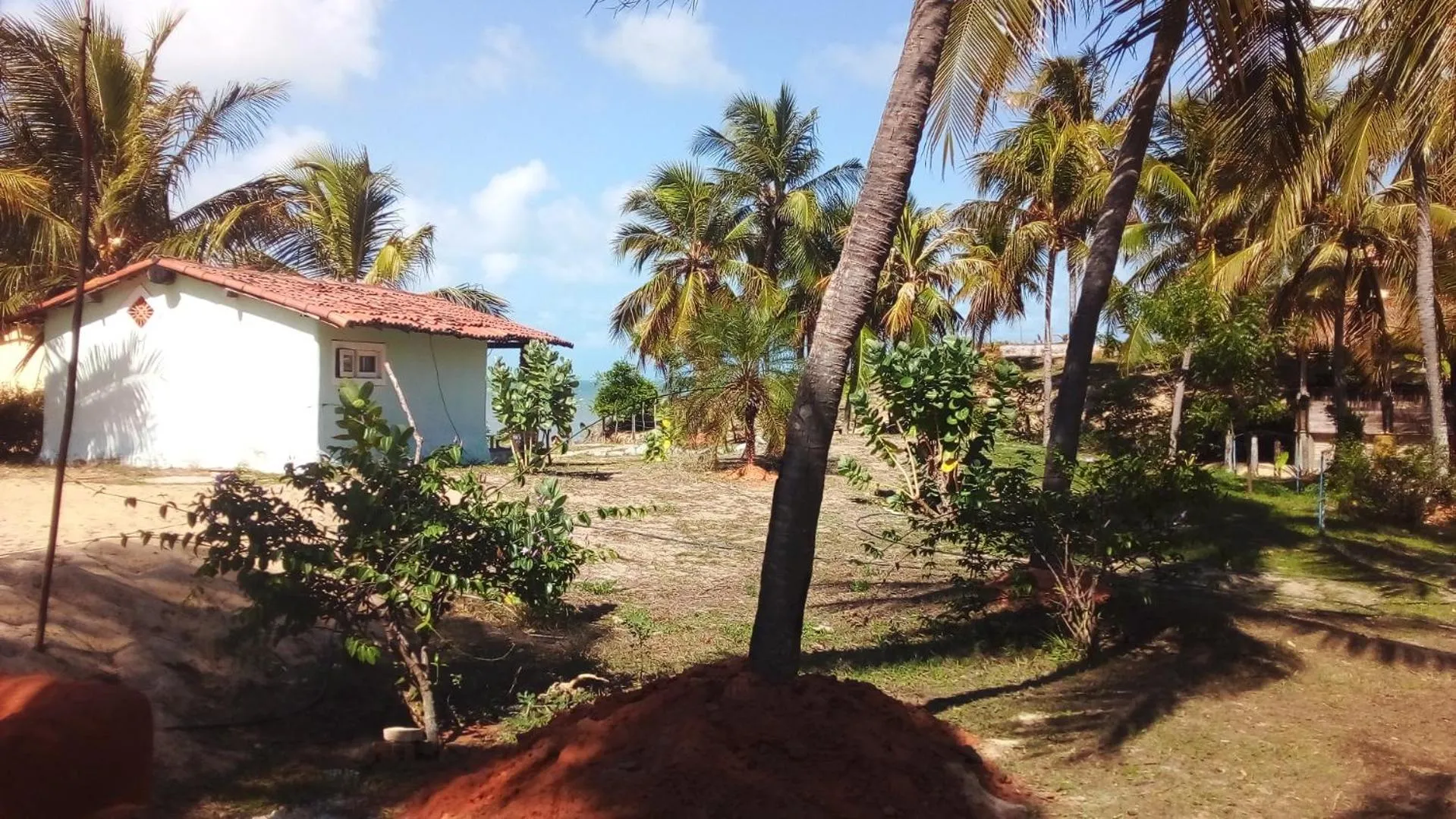 Lagoa dos Coqueiros