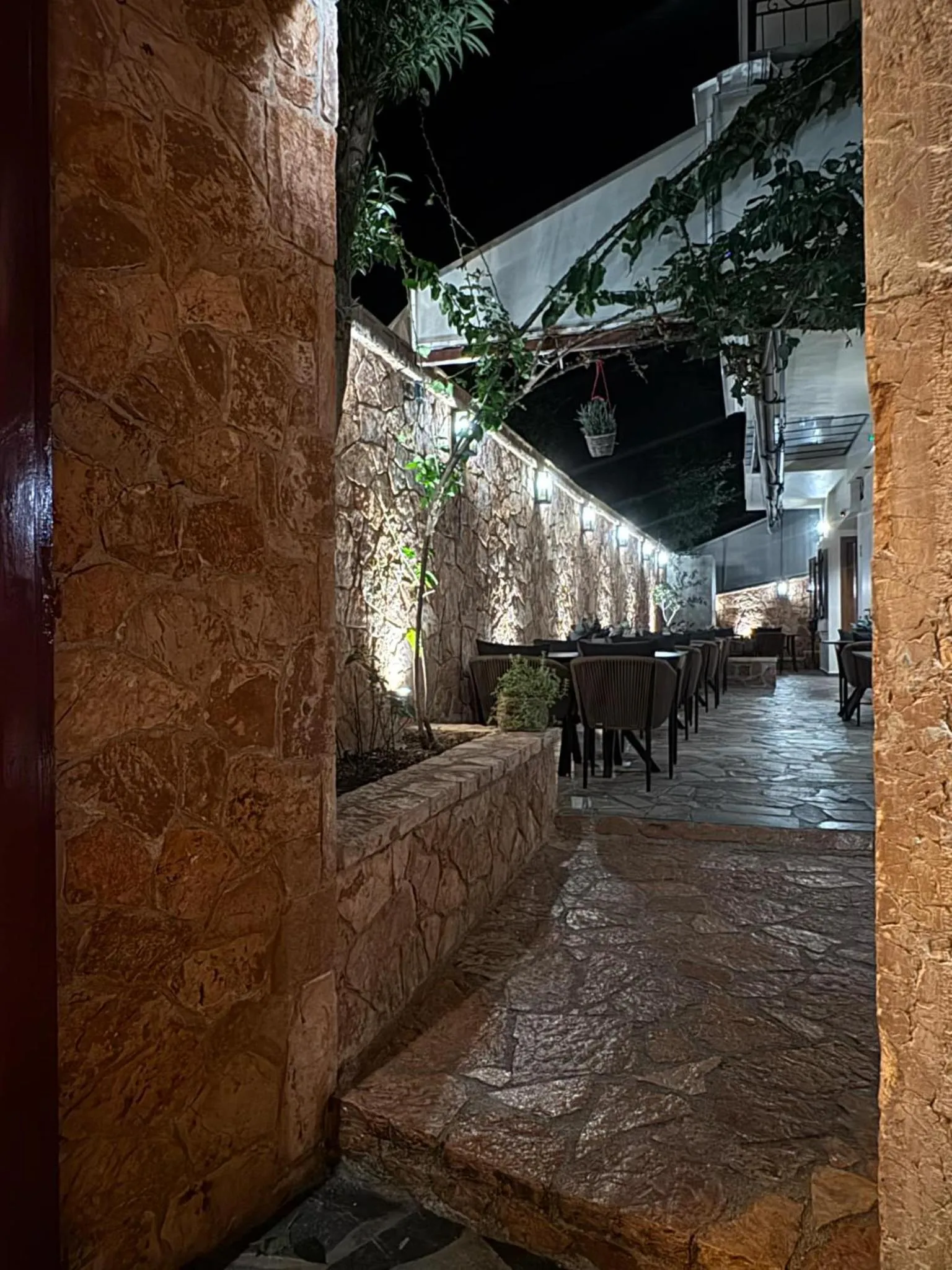 Night in Pension Dafni