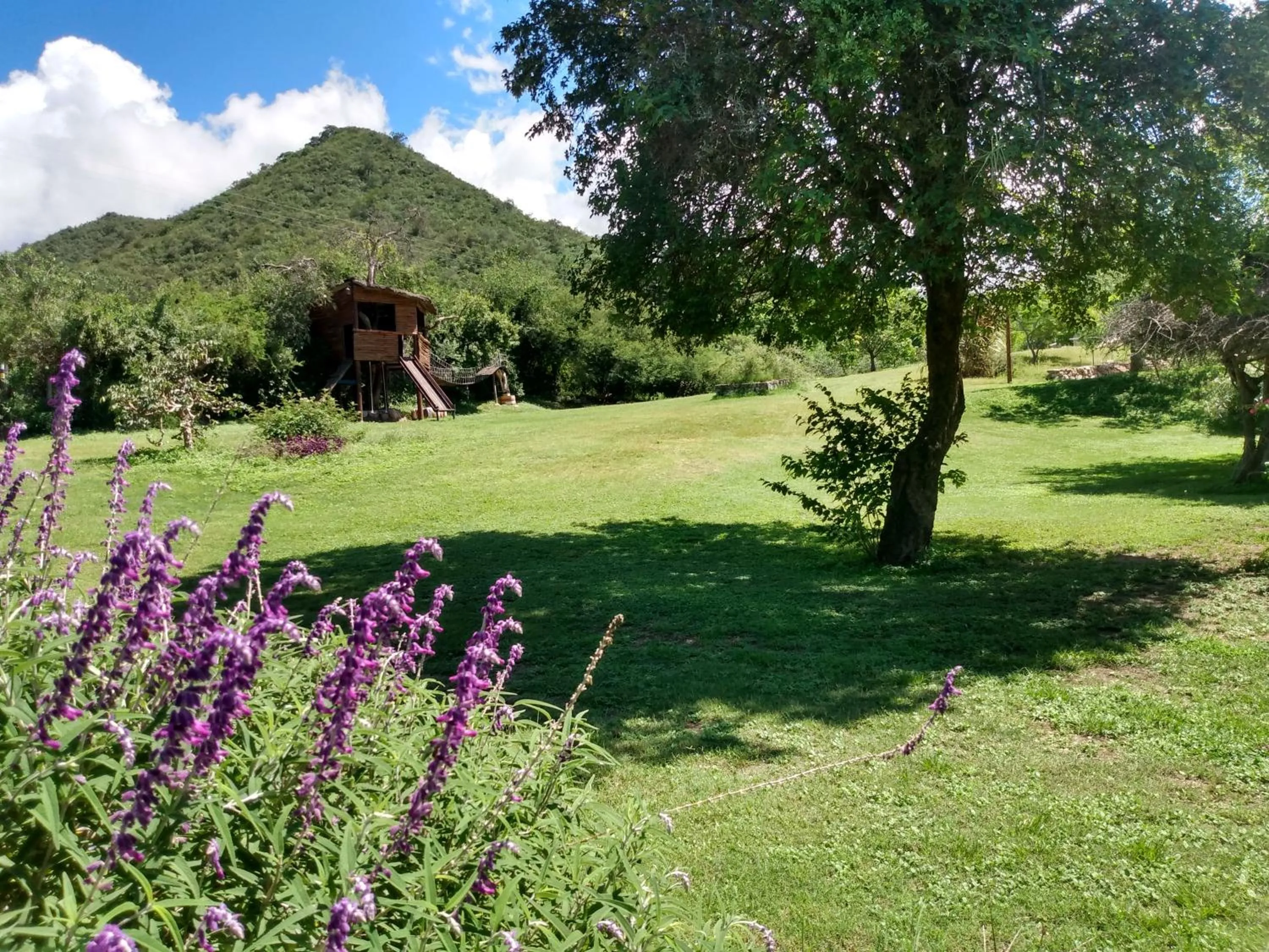 Cabaña Duraznillo