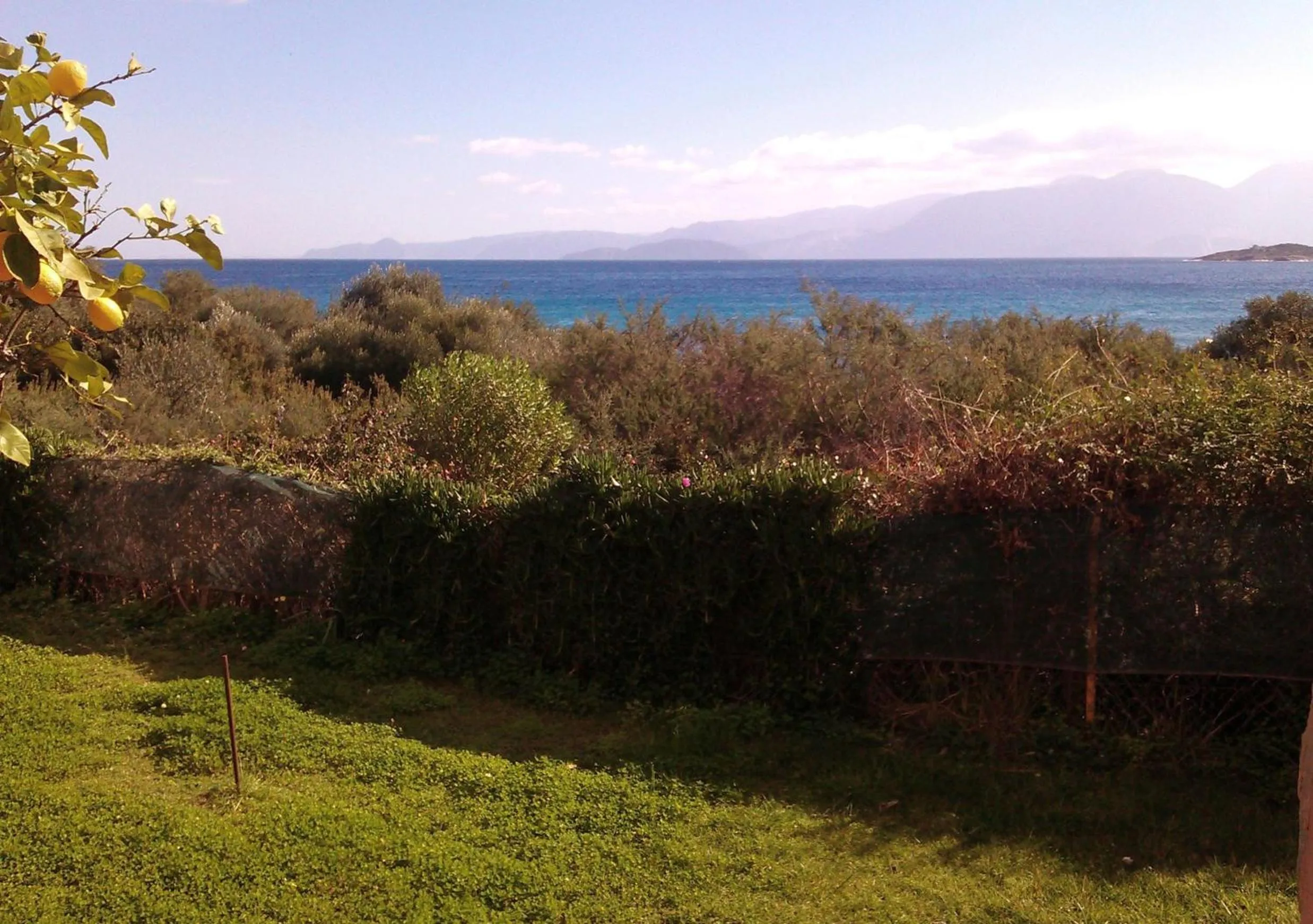 Garden in Mirabella Apartments