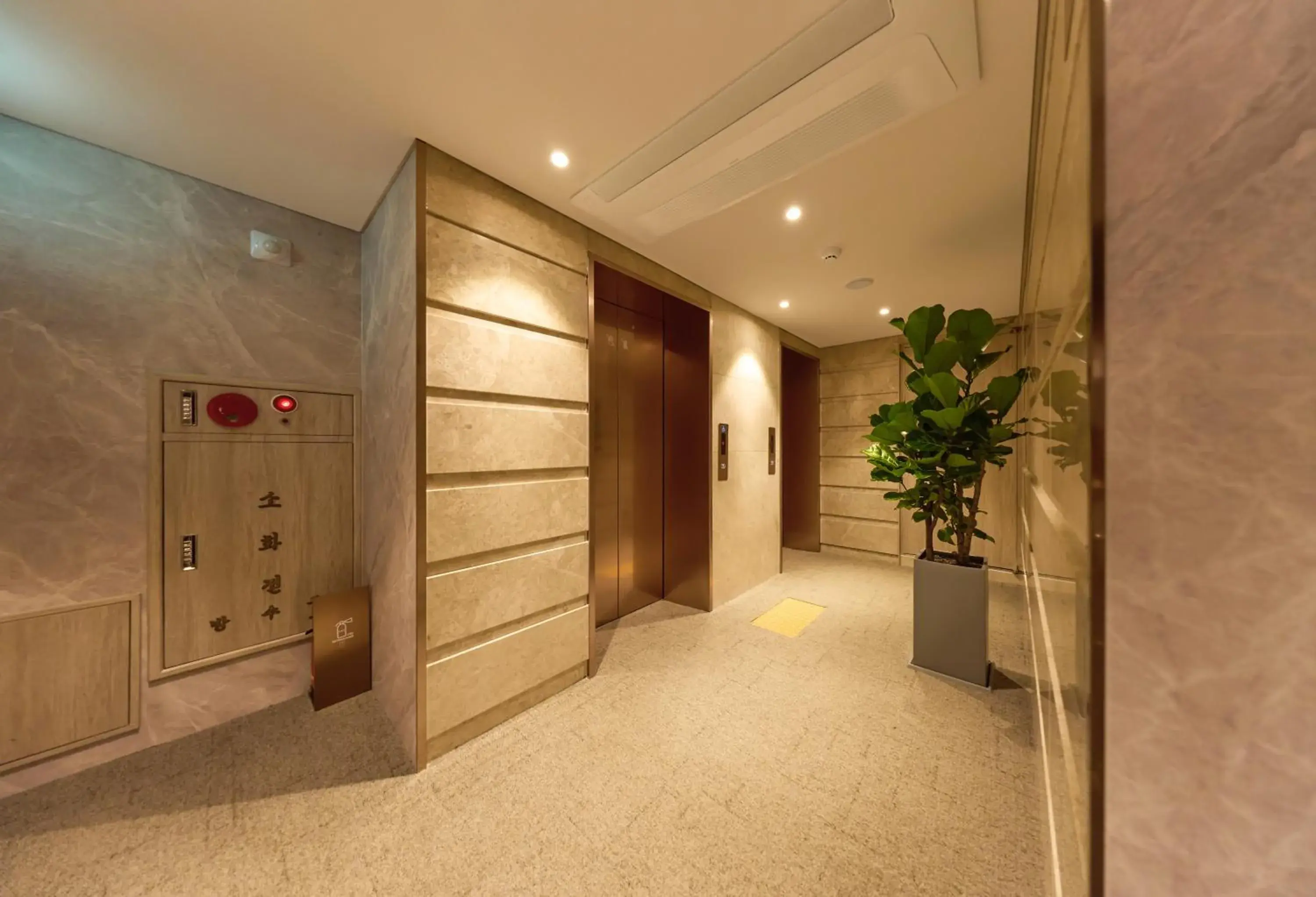 Property building in Capace Hotel Gangnam Property building in Capace Hotel Gangnam