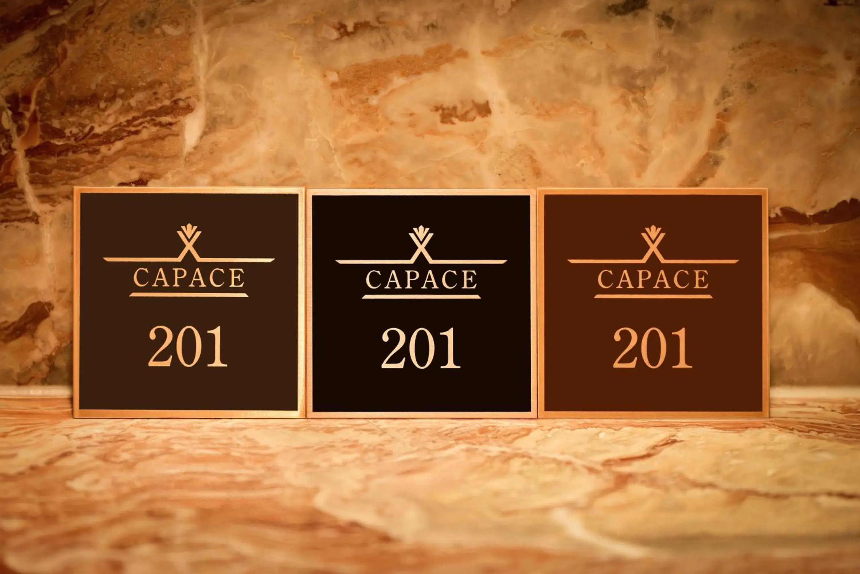 Property logo or sign in Capace Hotel Gangnam Property logo or sign in Capace Hotel Gangnam