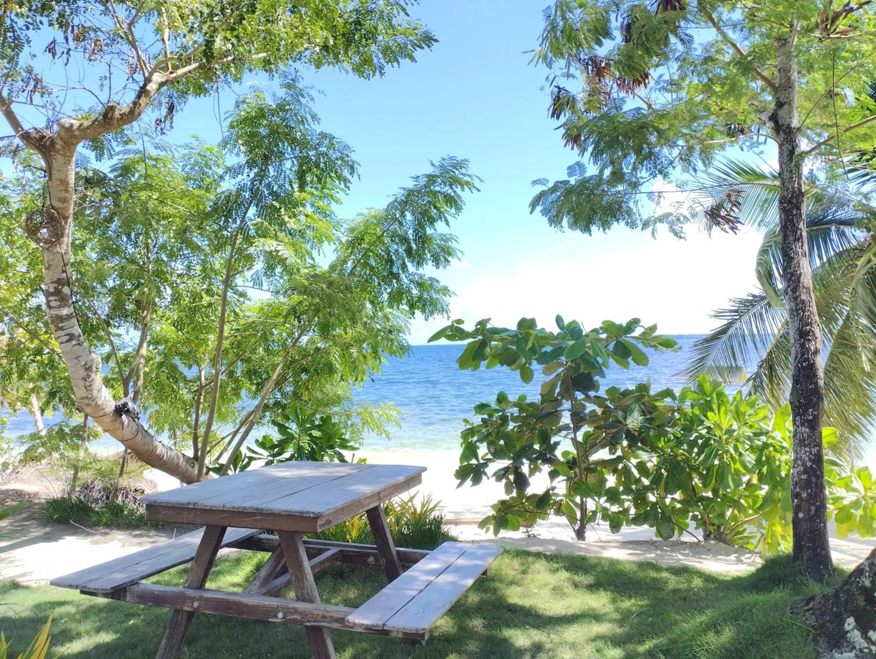 Natural landscape in Ferra Resort Siargao