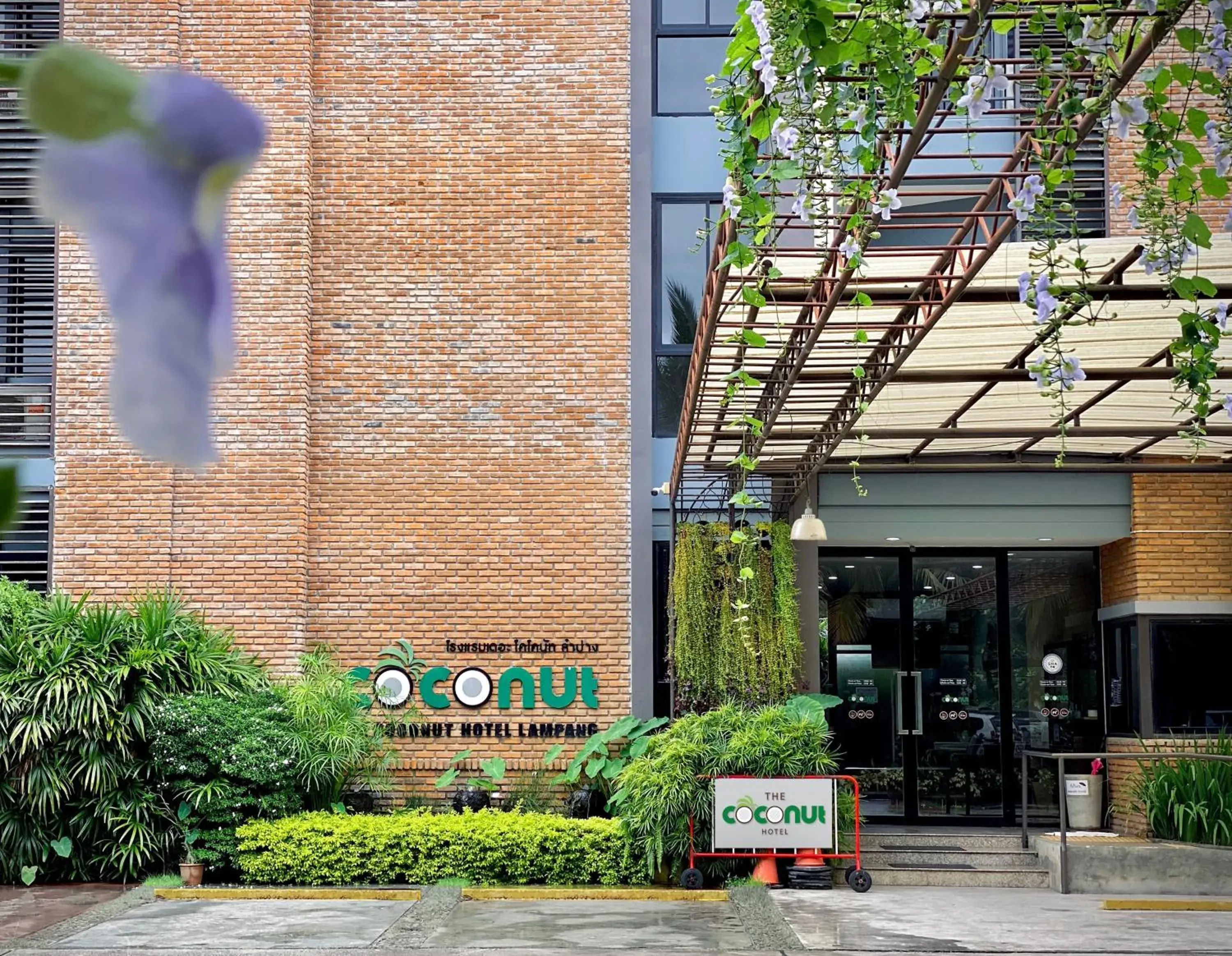 Property building in The Coconut Hotel Property building in The Coconut Hotel