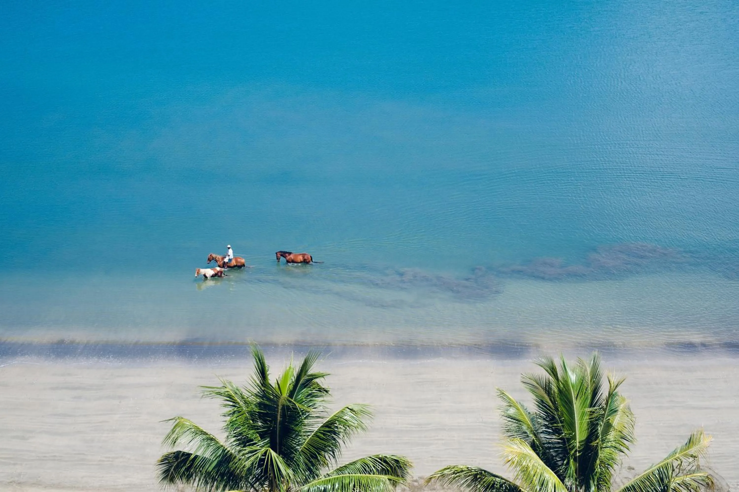 Natural landscape in Ramada Suites by Wyndham Wailoaloa Beach Fiji