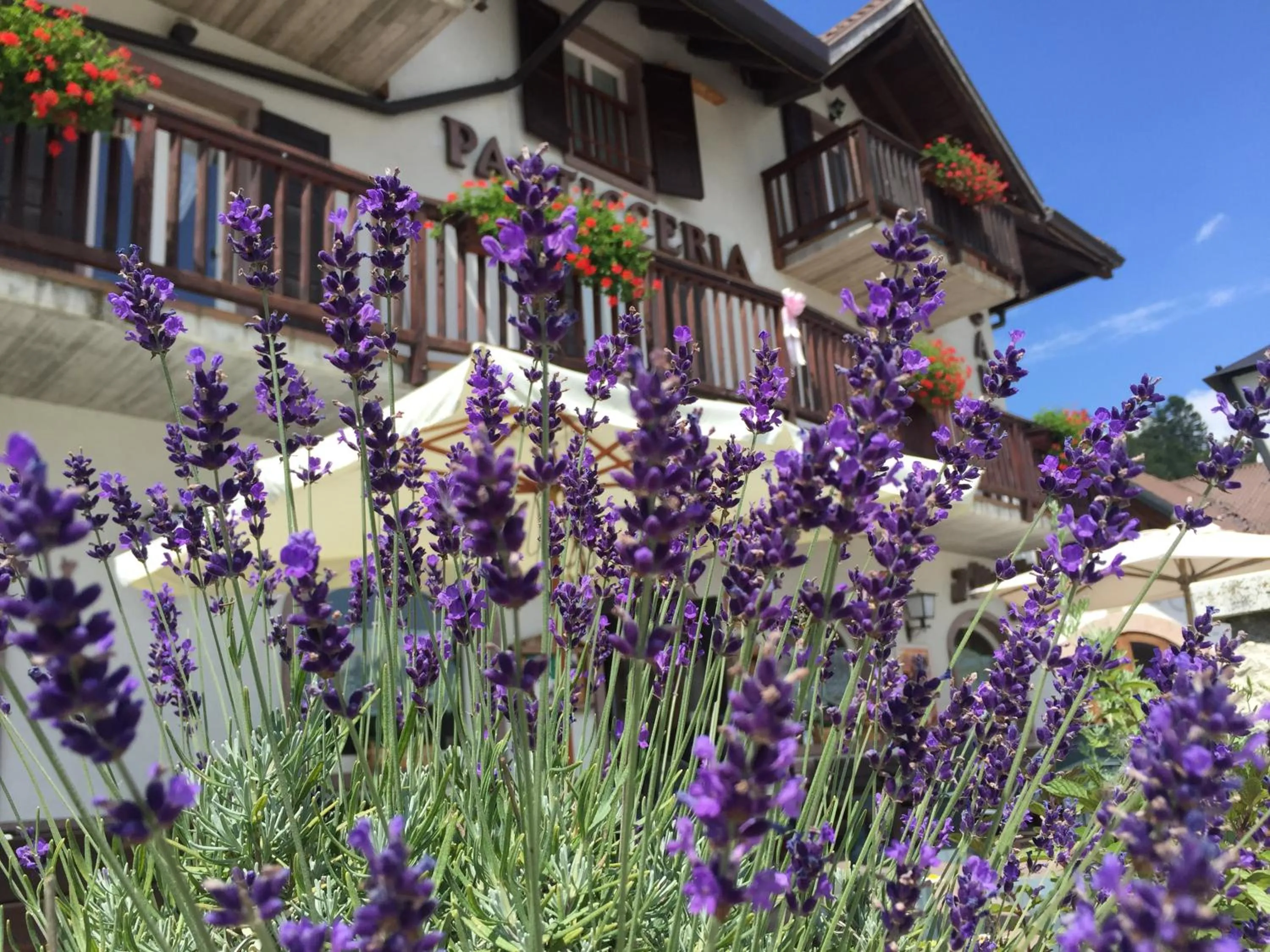 Facade/entrance in Garni Il Muretto