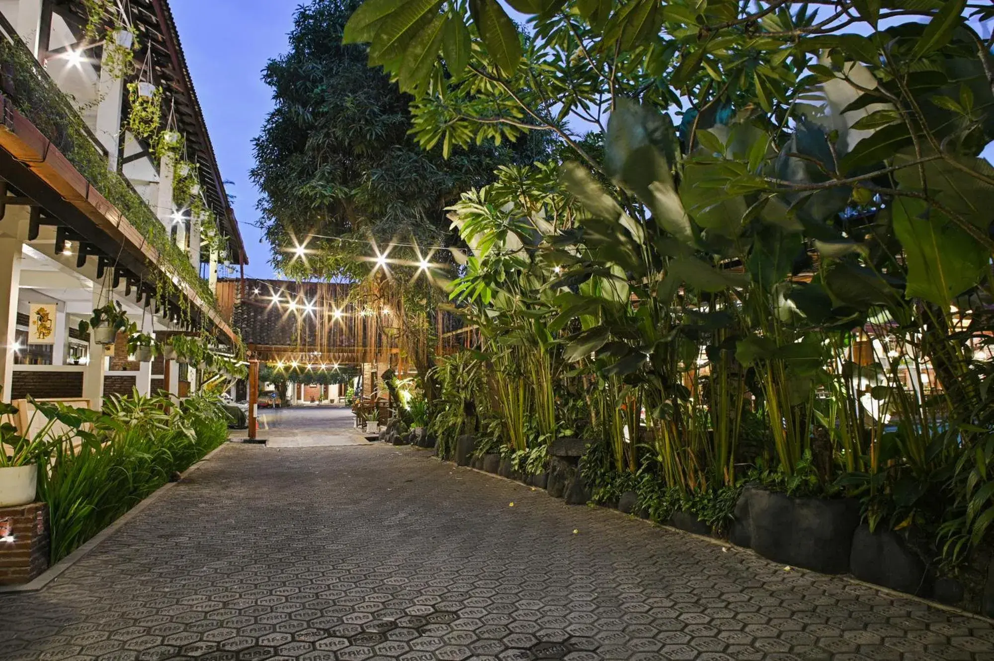 Garden view in Paku Mas Hotel Garden view in Paku Mas Hotel